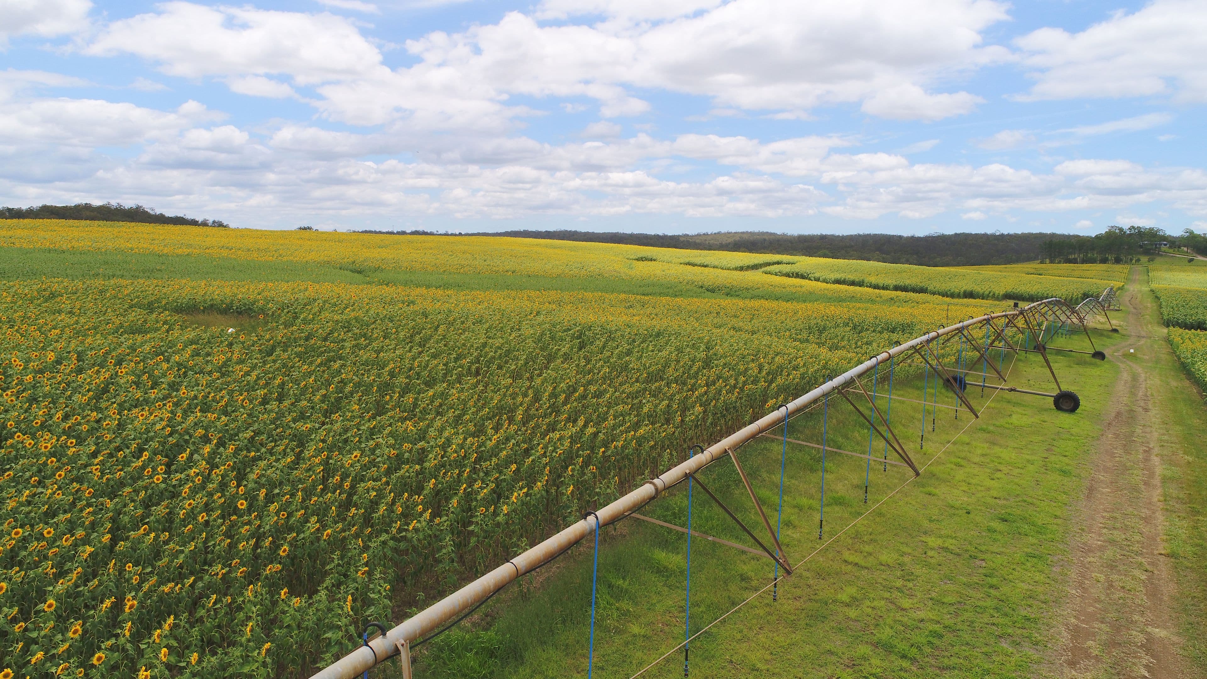 'Nobby Hill' Delan Rd, Delan, Gin Gin QLD 4671, Gin Gin - Thumbnail 2