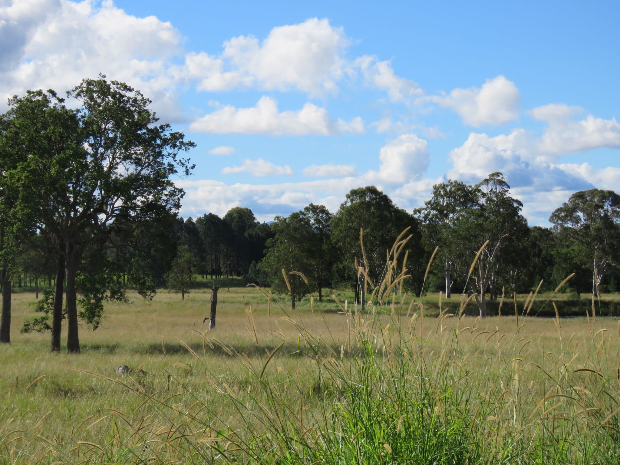 134 Fredericks Road, Caniaba NSW 2480, Caniaba - Thumbnail 6