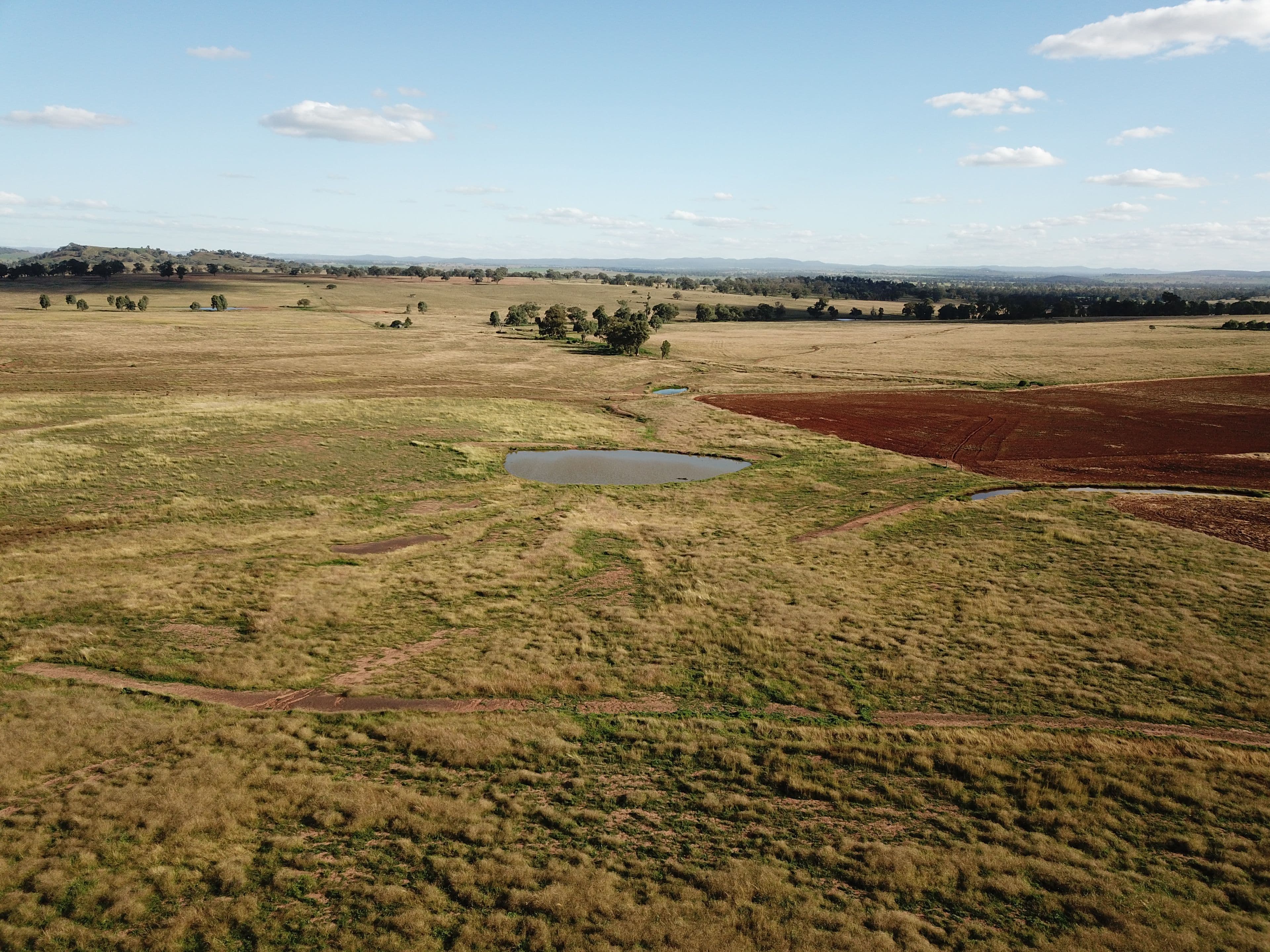 'West Waugoola' Old Dubbo Road, Geurie NSW 2818, Geurie - Thumbnail 3