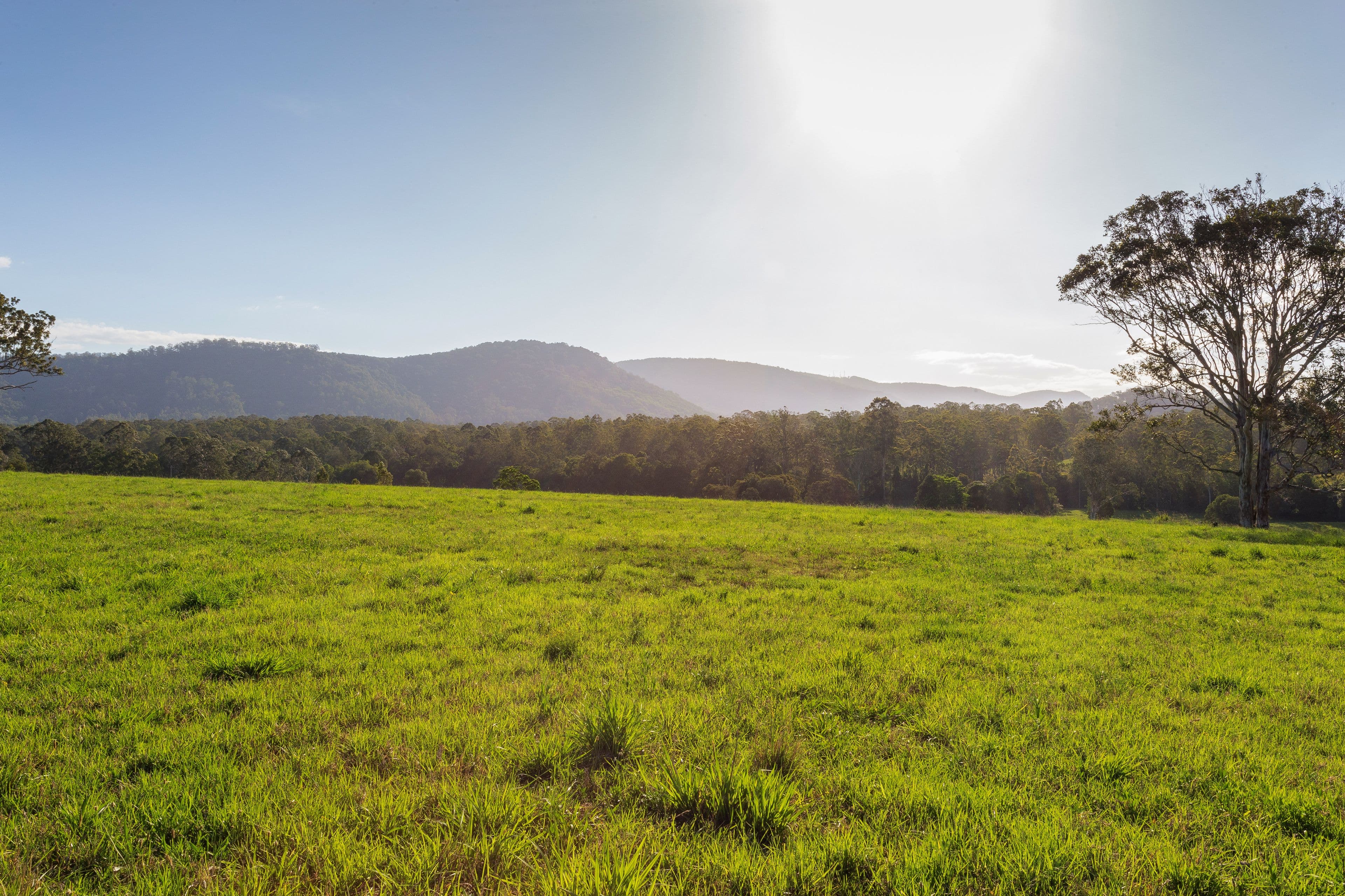 564 Kimbriki Road, Wingham NSW 2429, Wingham - Thumbnail 8