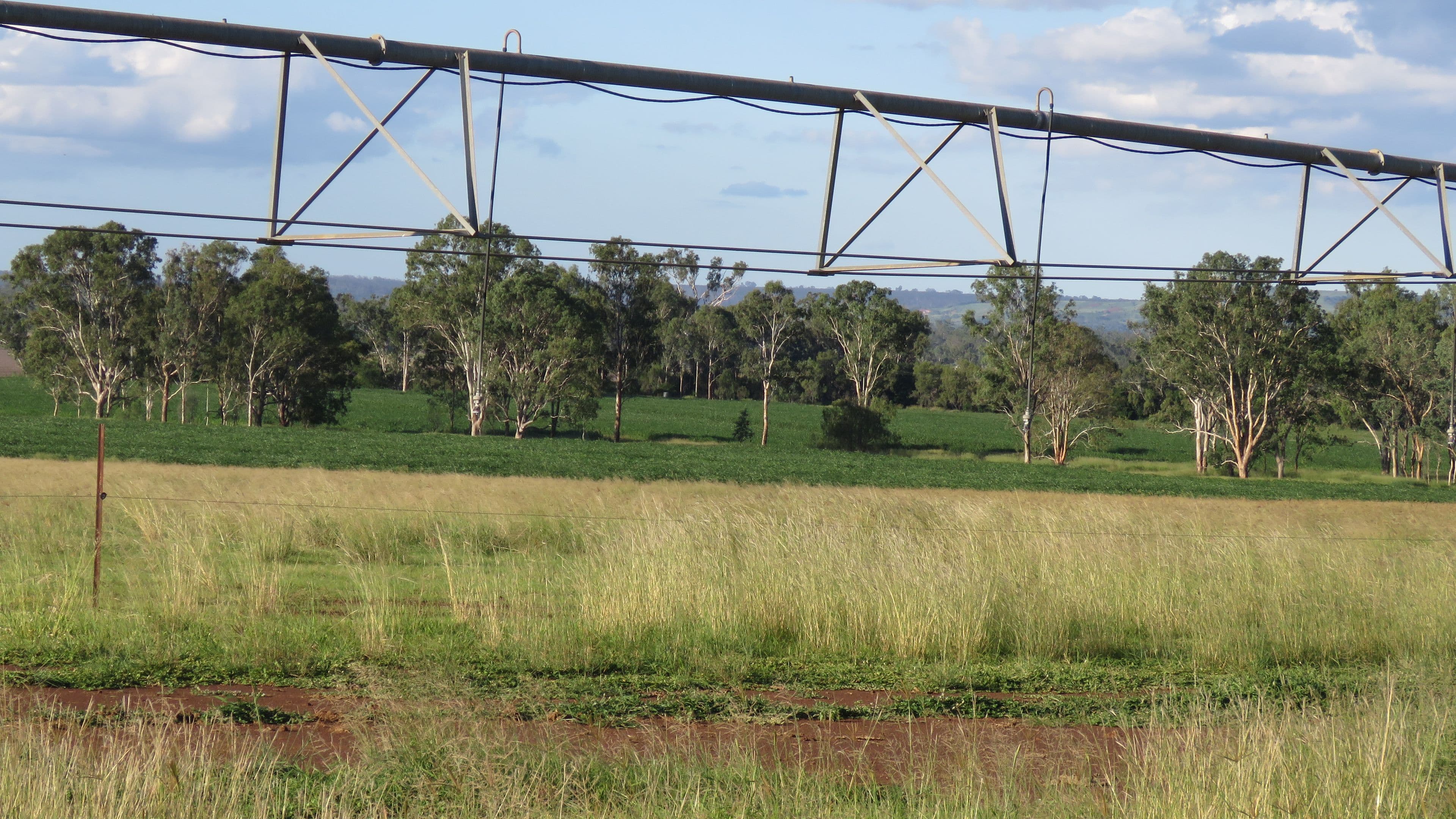 14 WSF Ramke Road, Mondure QLD 4611, Mondure - Thumbnail 2