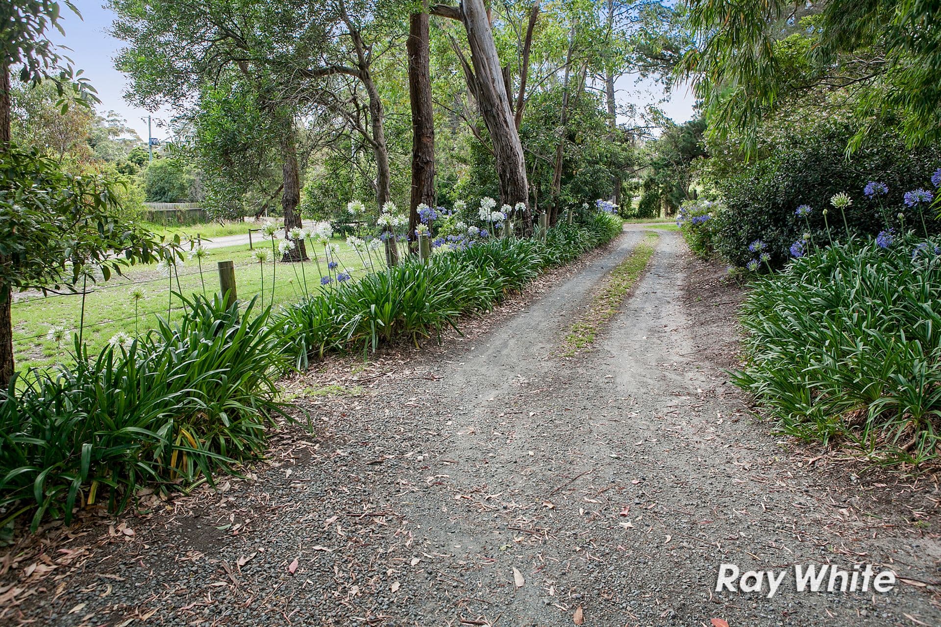 35 Gardeners Road, Langwarrin South VIC 3911, Langwarrin South - Thumbnail 2