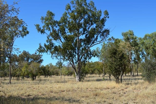Lot 8 Frames Lane, Blackall QLD 4472, Blackall - Thumbnail 5