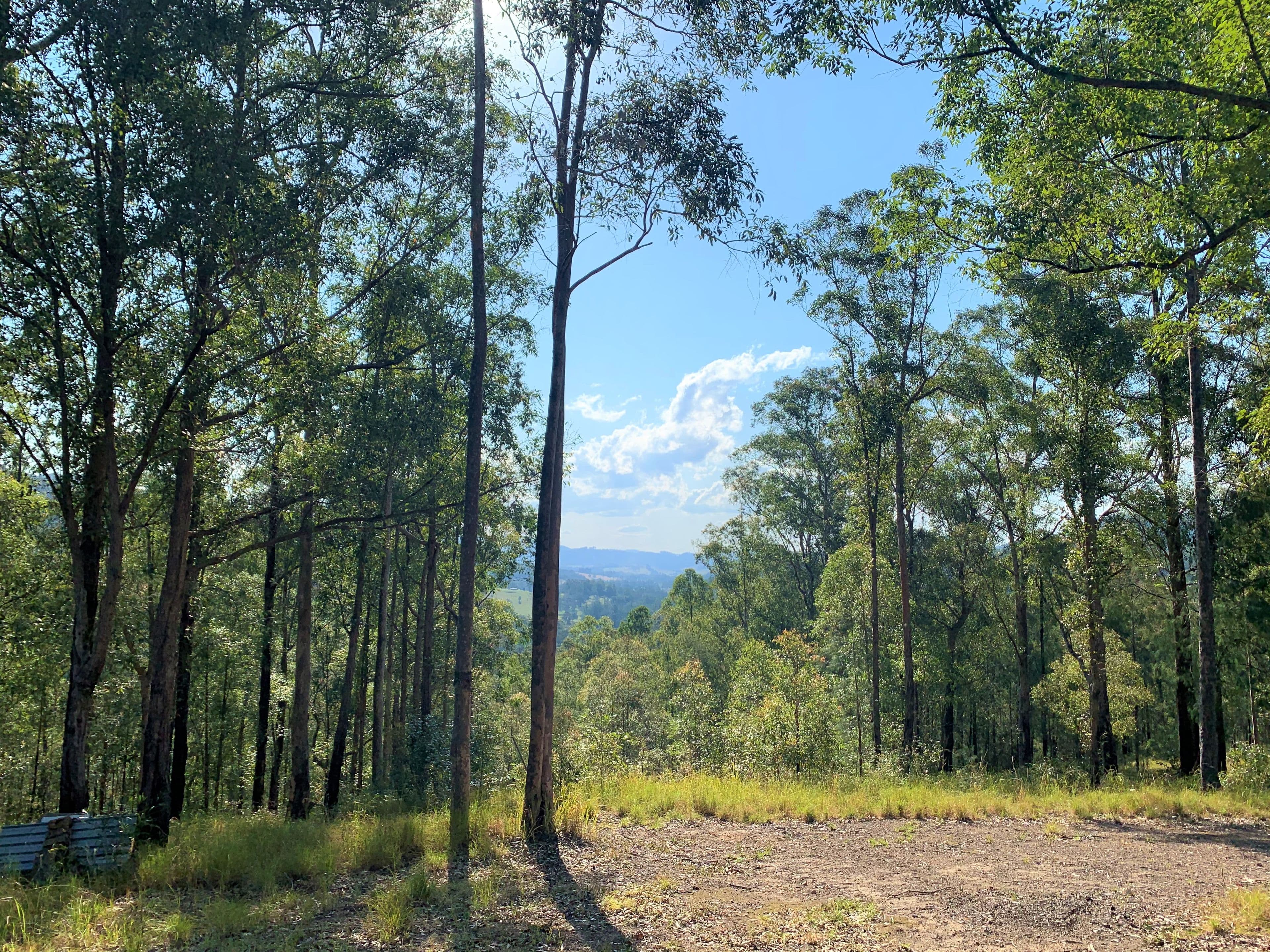 Lot 51 Upper Myall Road, Upper Myall NSW 2423, Upper Myall - Image 1