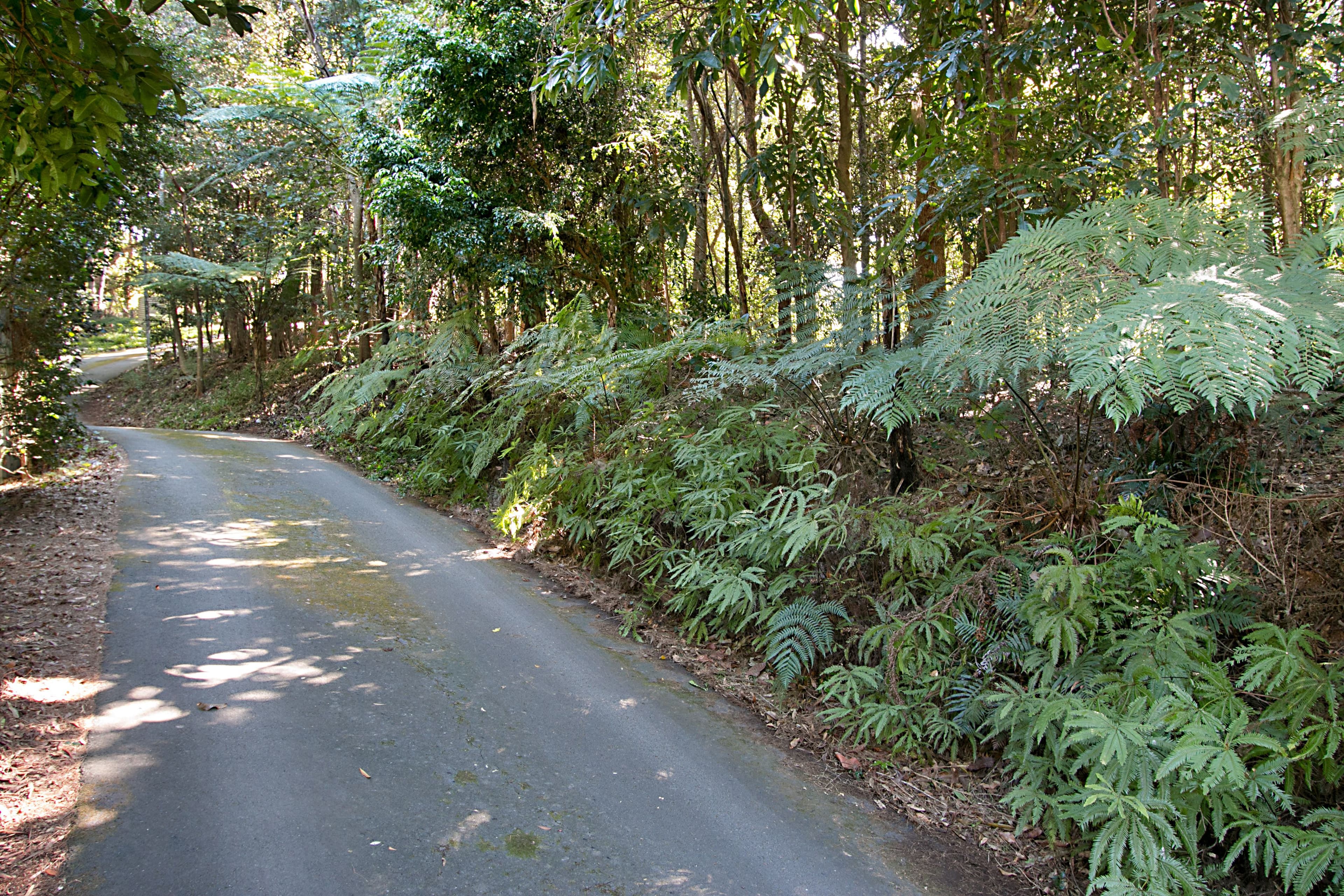 29 Garden of Eden Road, Tomewin NSW 2484, Tomewin - Thumbnail 3