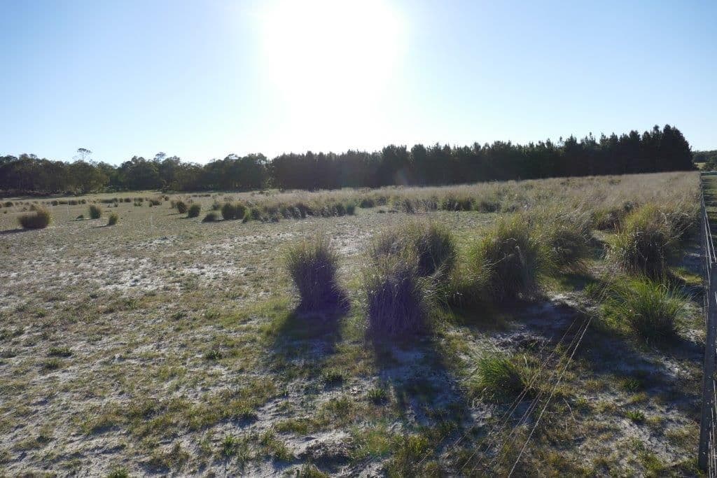 Twin Rivers Farm, 1960 Wannamal Road West, Gingin WA 6503, Gingin - Thumbnail 6