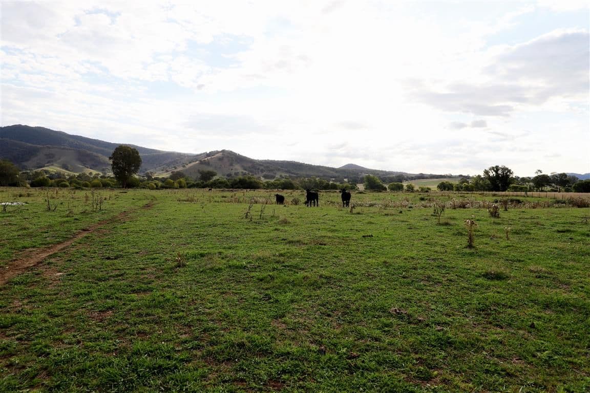 "Brymay" Lot 8 Tumut Plains Road, Tumut NSW 2720, Tumut - Thumbnail 6