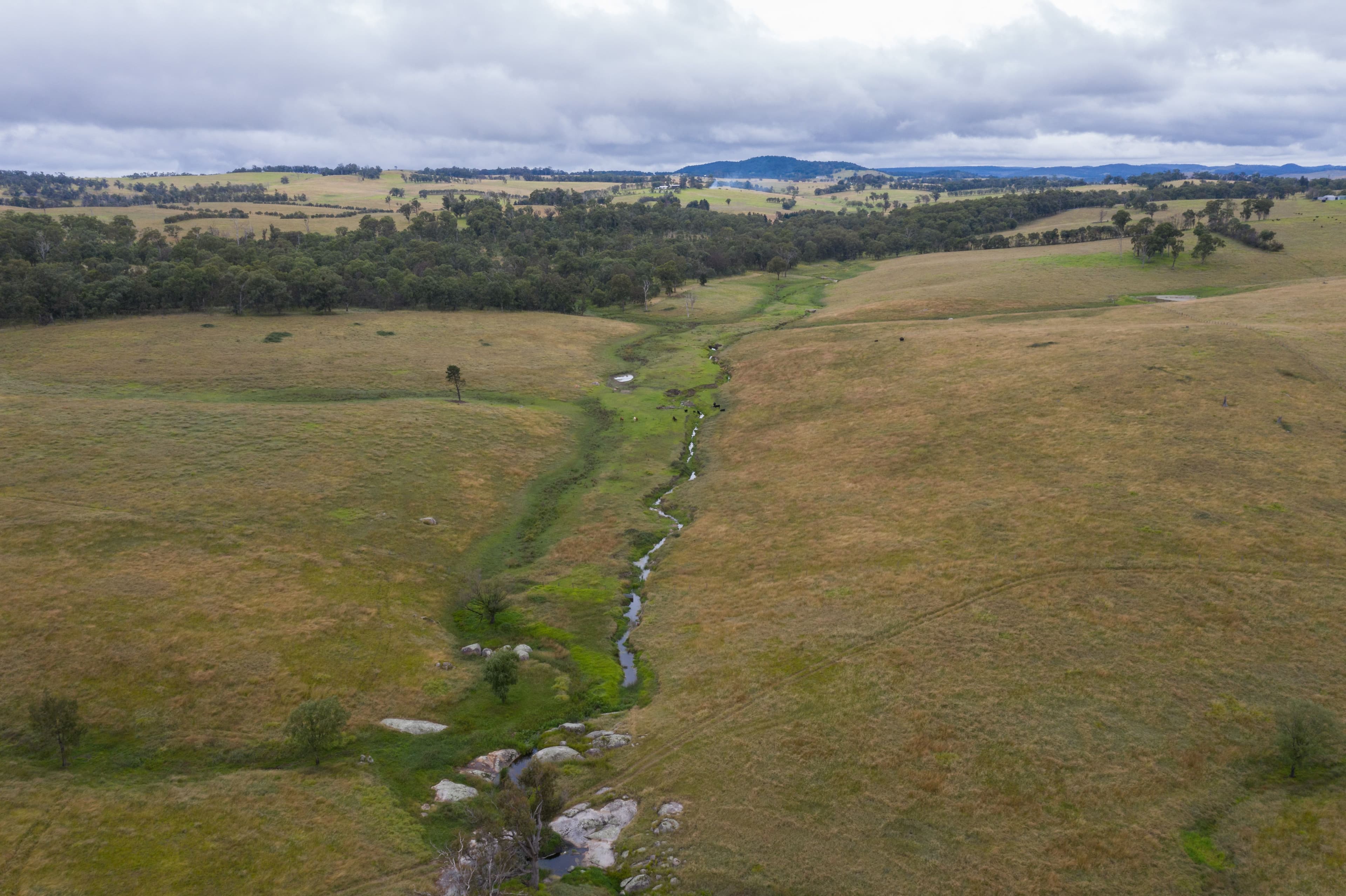 11032 Bruxner Highway, Tenterfield NSW 2372, Tenterfield - Thumbnail 4