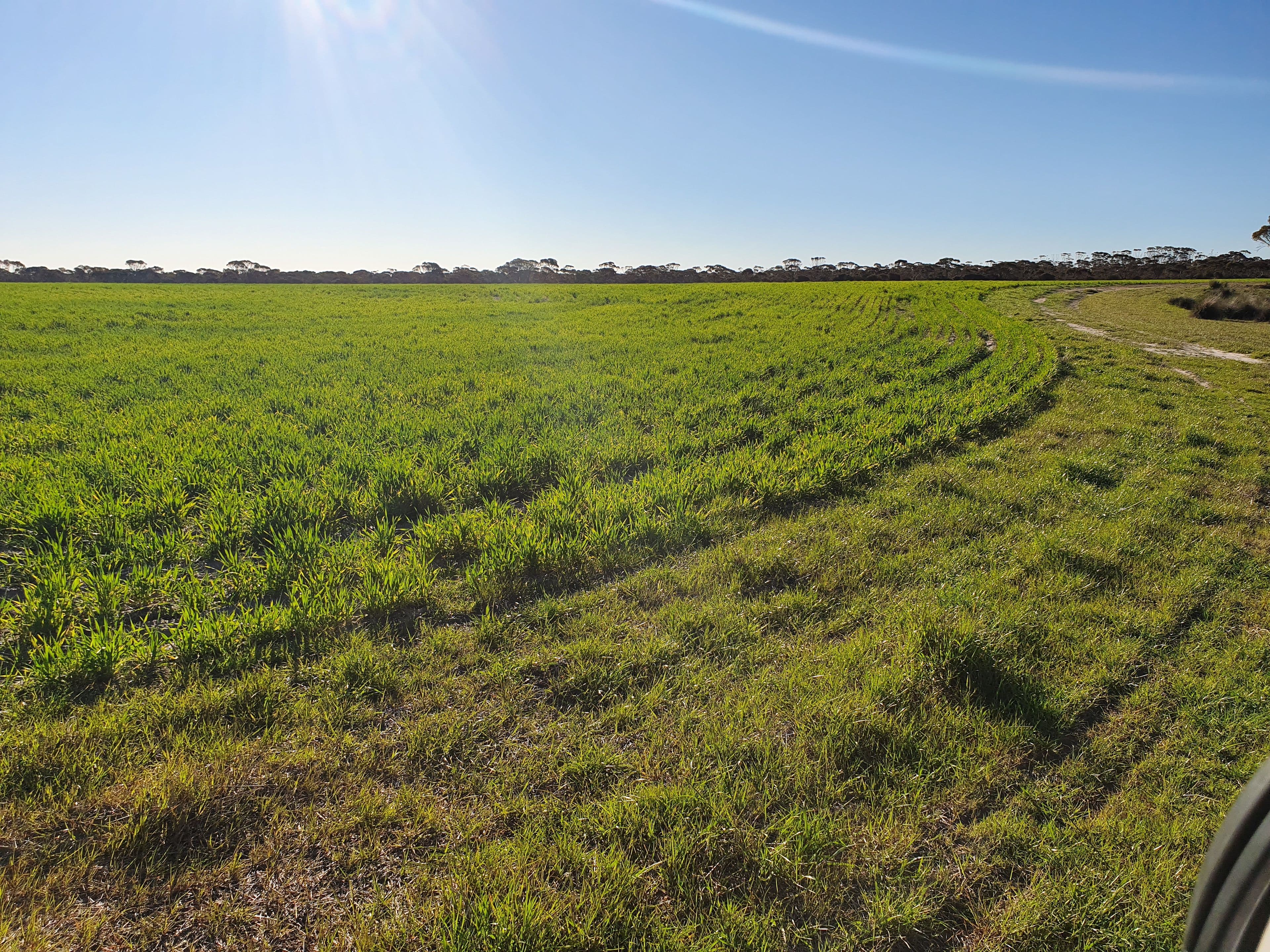 2405 North Needilup Road, Pingrup WA 6343, Pingrup - Thumbnail 2