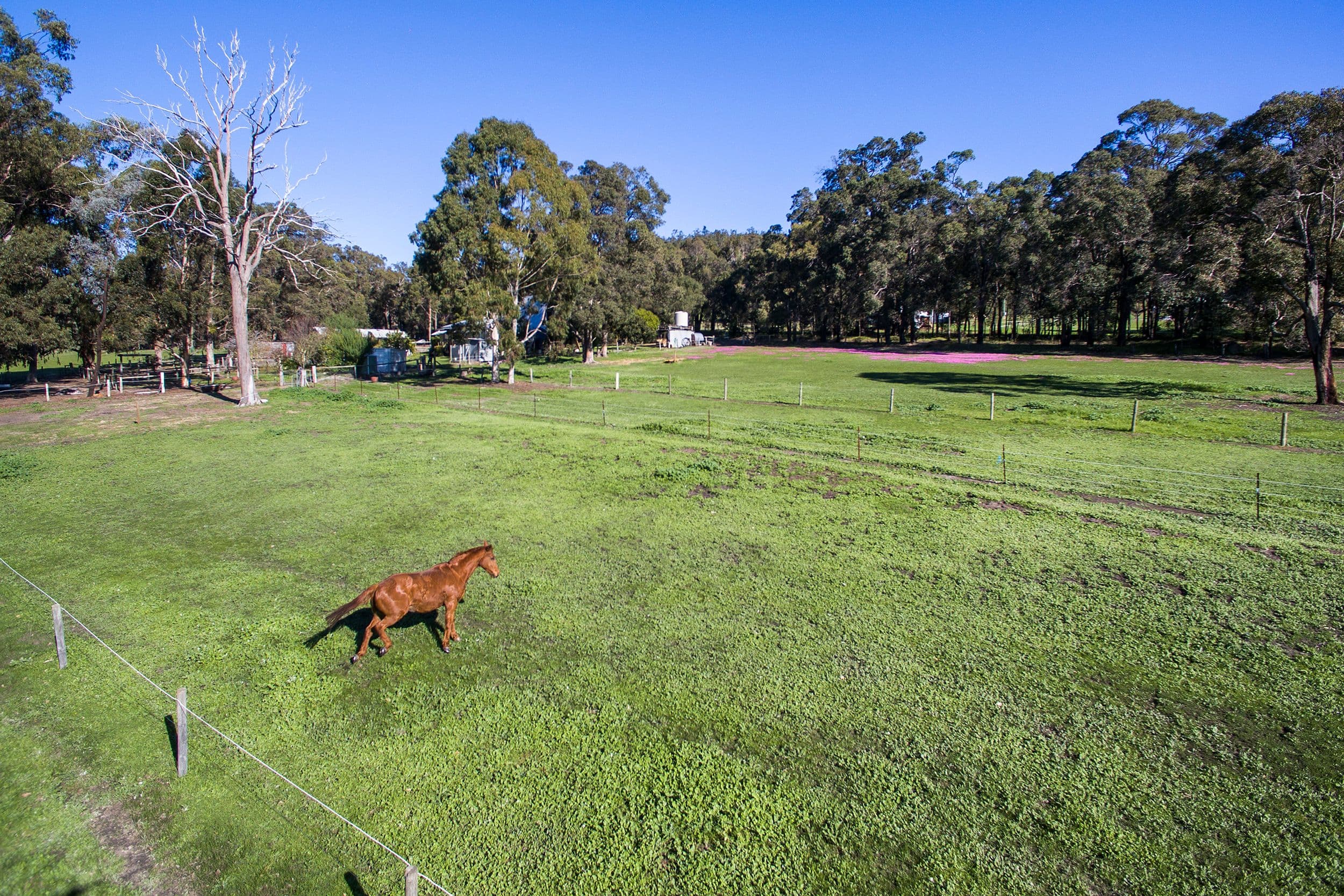 253 East Nannup Road, Nannup WA 6275, Nannup - Image 1