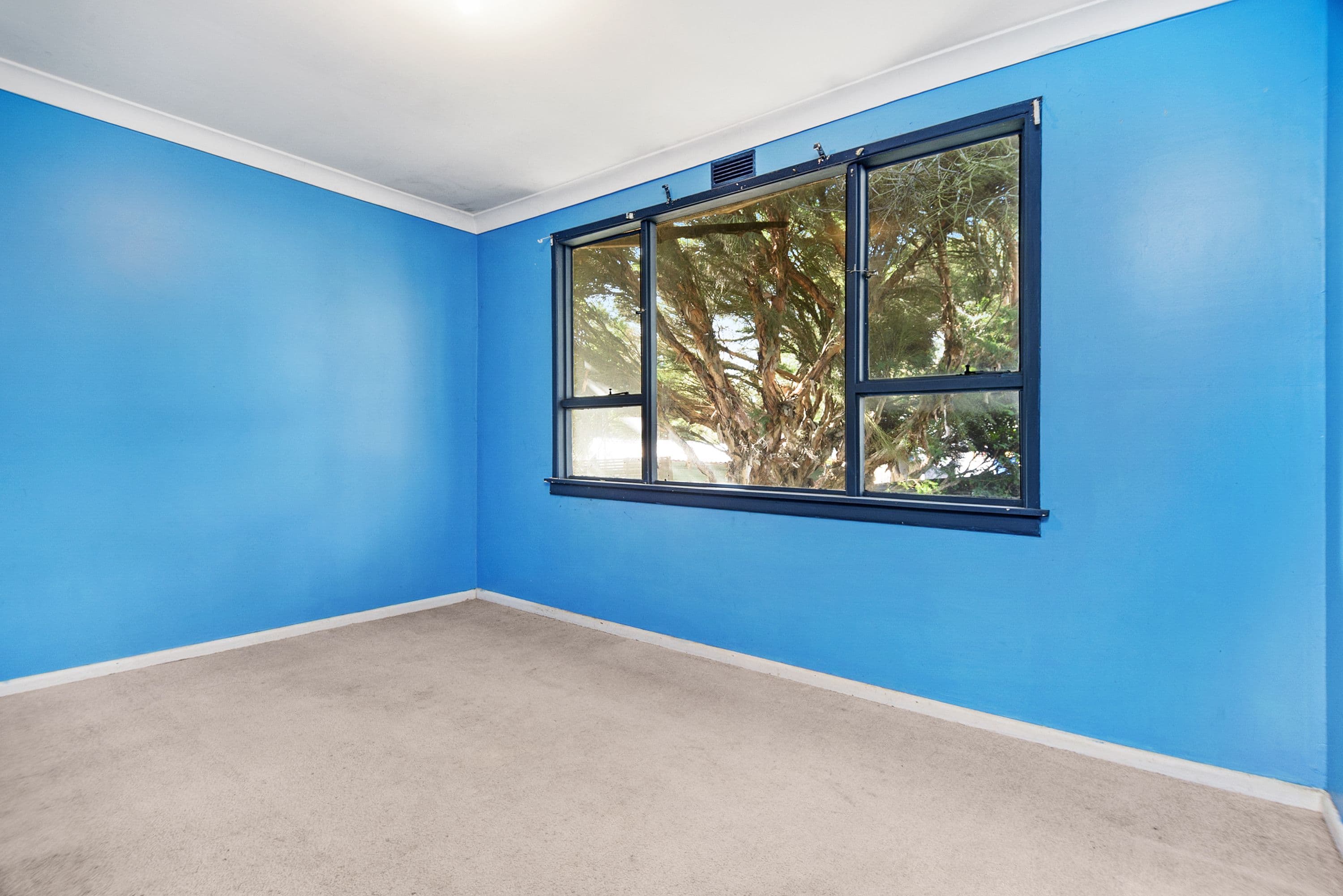 1045 Humffray Street South, Mount Pleasant VIC 3350, Mount Pleasant - Thumbnail 5