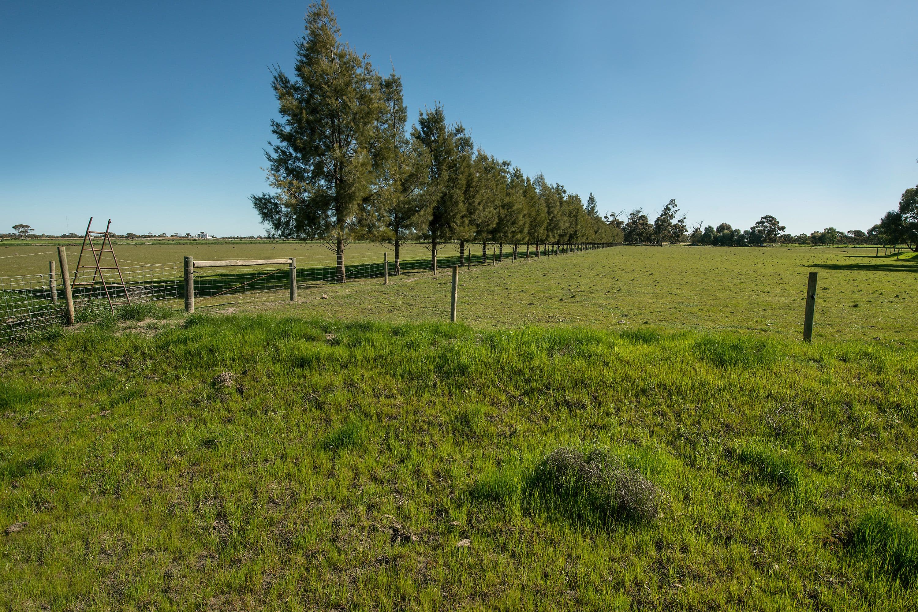 156 Maher Road, Swan Hill VIC 3585, Swan Hill - Thumbnail 6