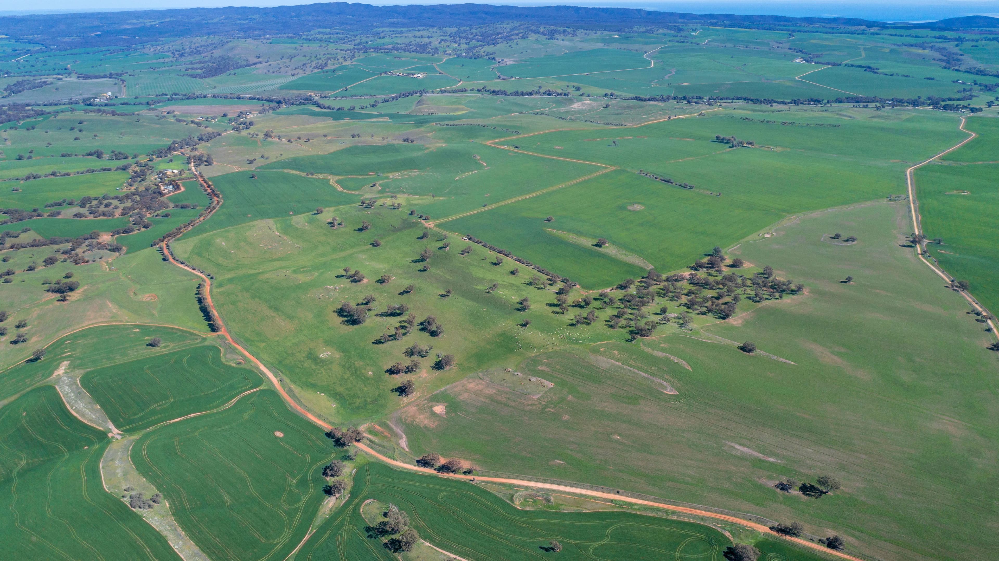 'Pinerow' Lot 782 Horrocks Highway, Wongyarra SA 5481, Wongyarra - Thumbnail 2