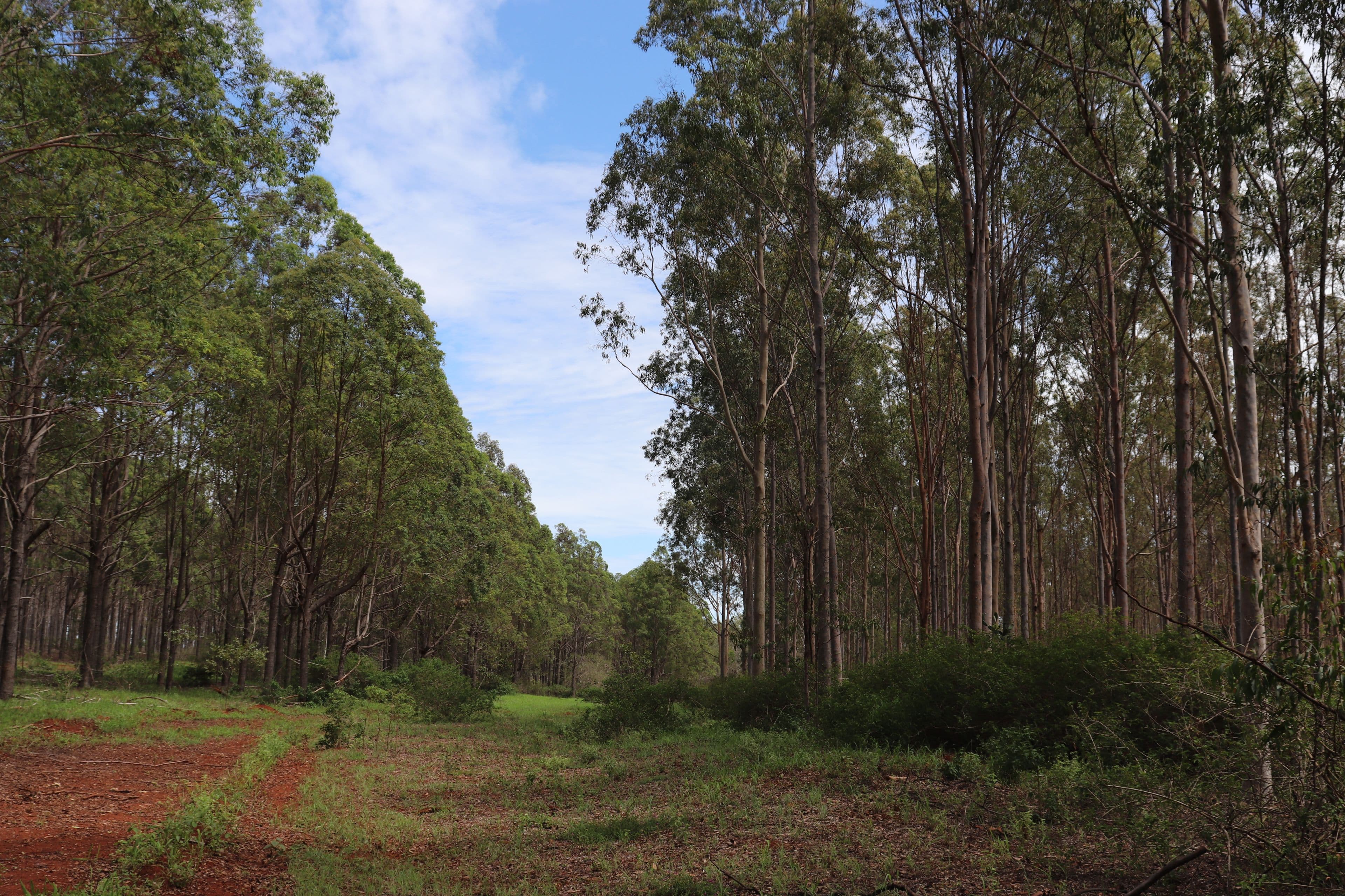 'Hooper' Burnett Highway, Binjour QLD 4625, Binjour - Thumbnail 8