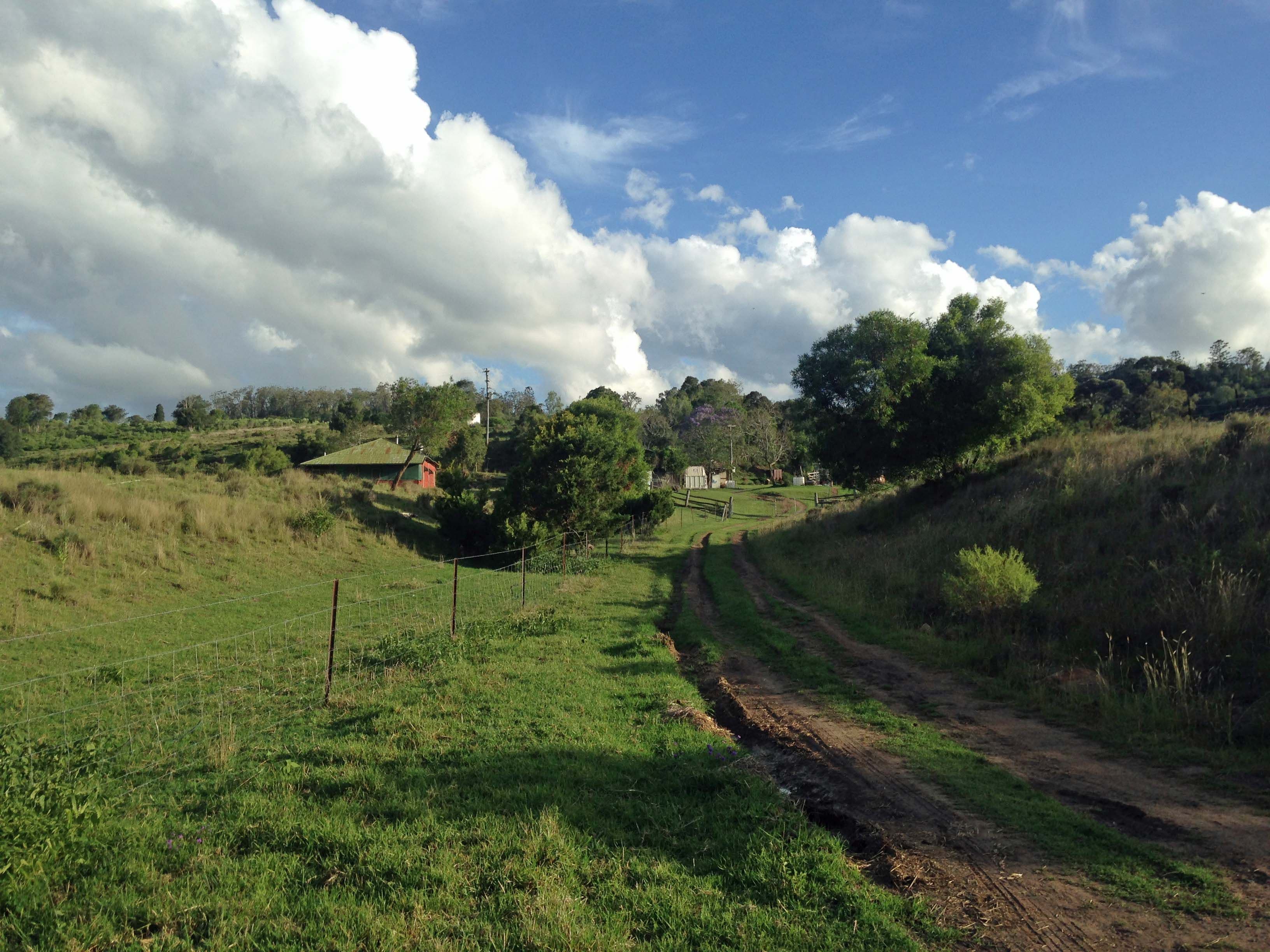 335 Schick Road, Thornville QLD 4352, Thornville - Image 1