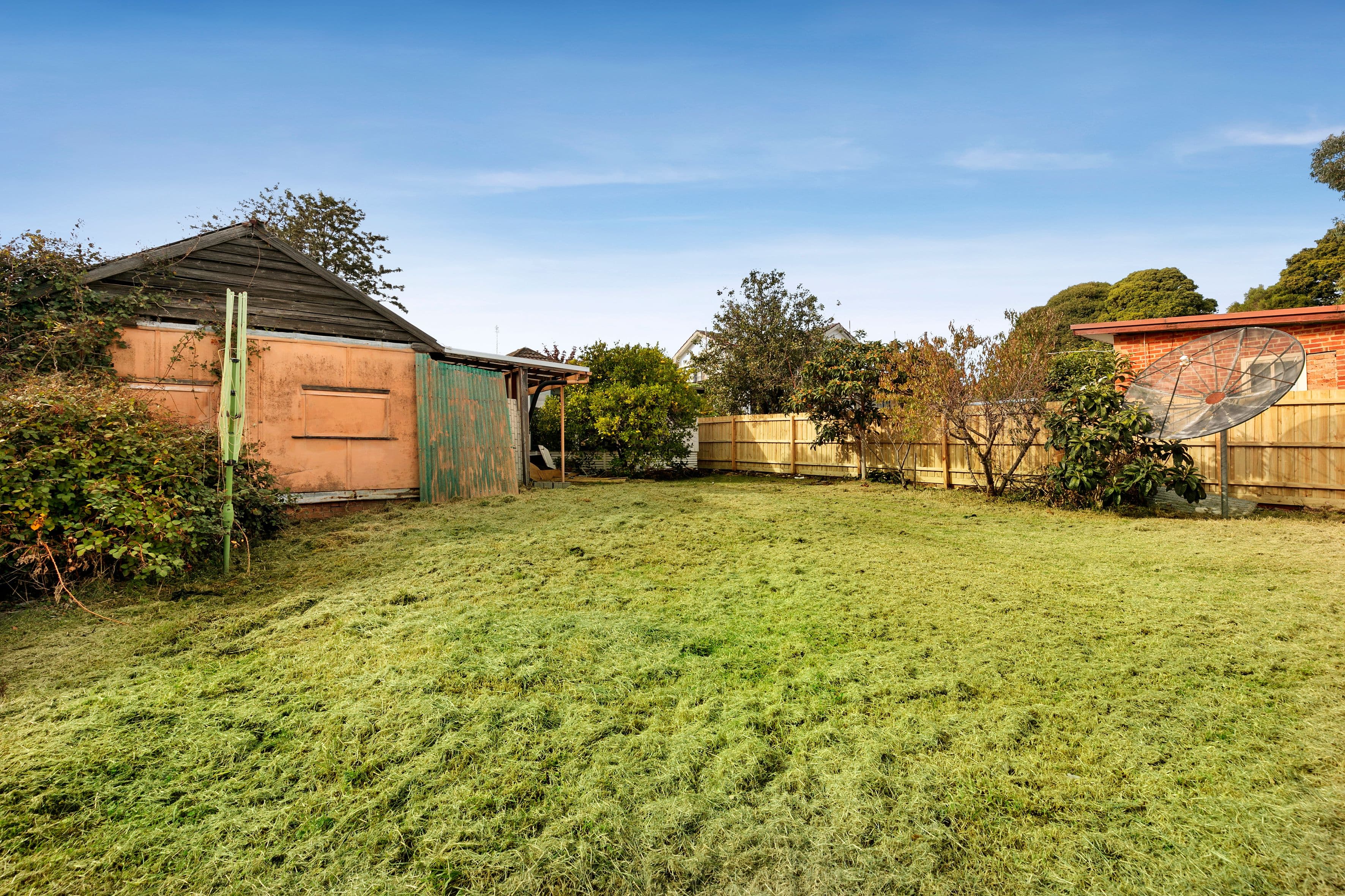 77 Middleborough Road, Burwood VIC 3125, Burwood - Thumbnail 3
