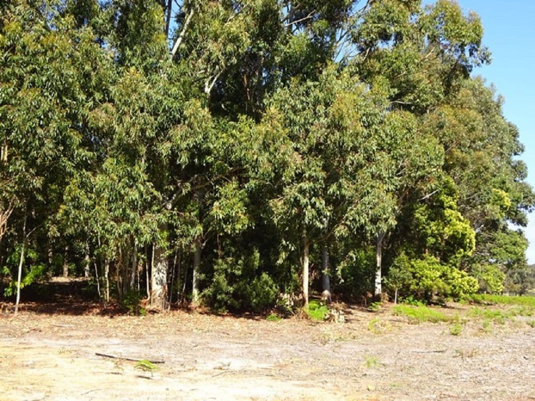 149 Saggers Road, Parryville WA 6333, Parryville - Thumbnail 3