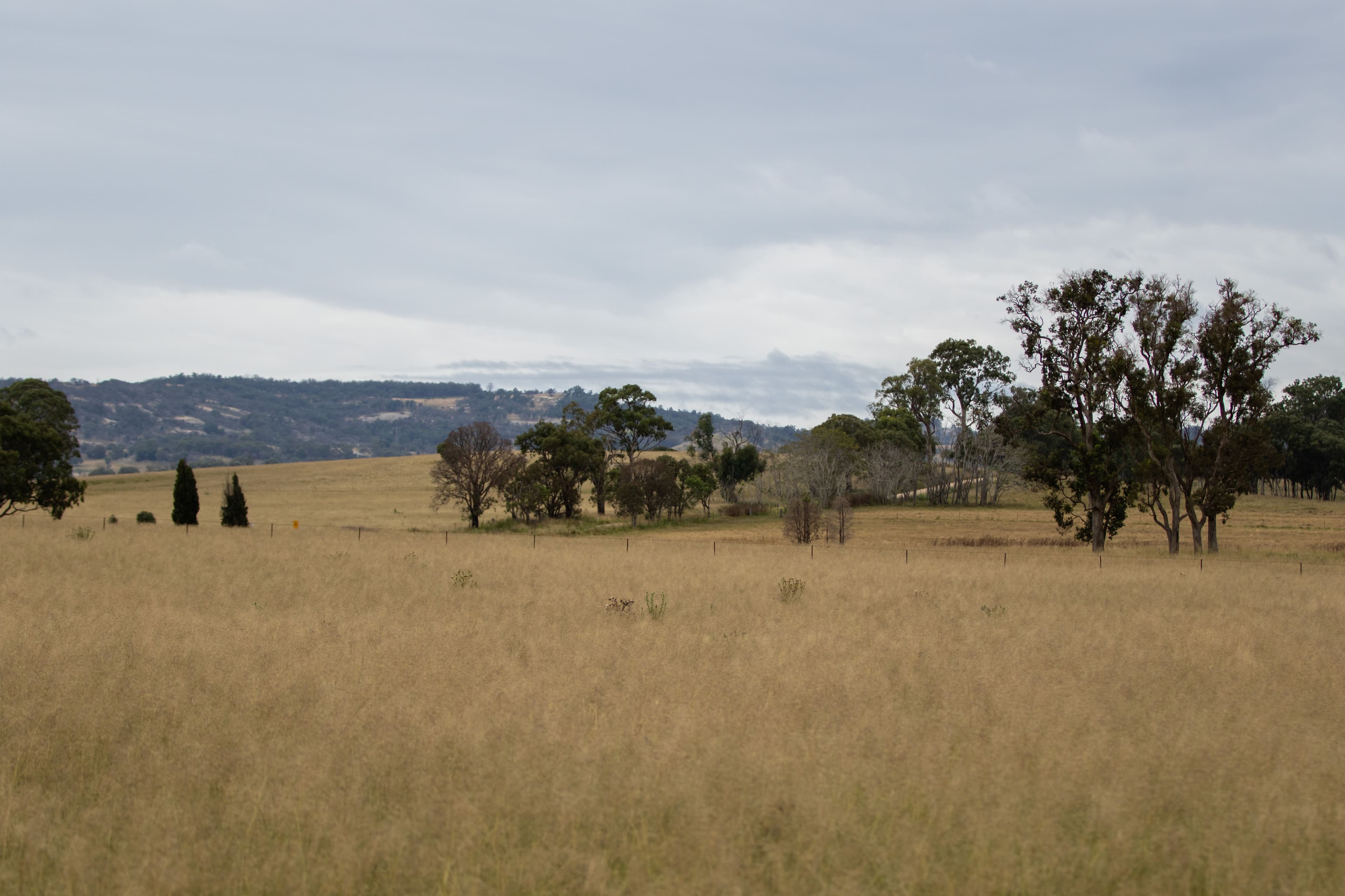 1158 Bruxner Highway, Tenterfield NSW 2372, Tenterfield - Thumbnail 5