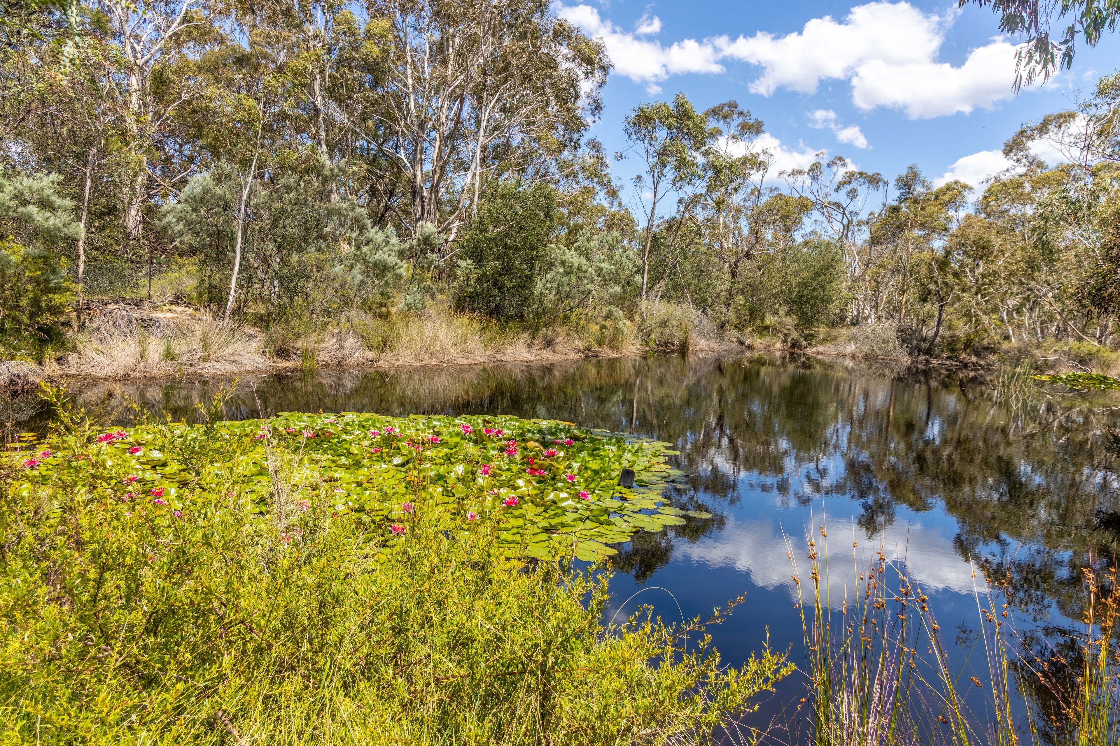 77 Rugby Road, Majors Creek NSW 2622, Majors Creek - Thumbnail 8