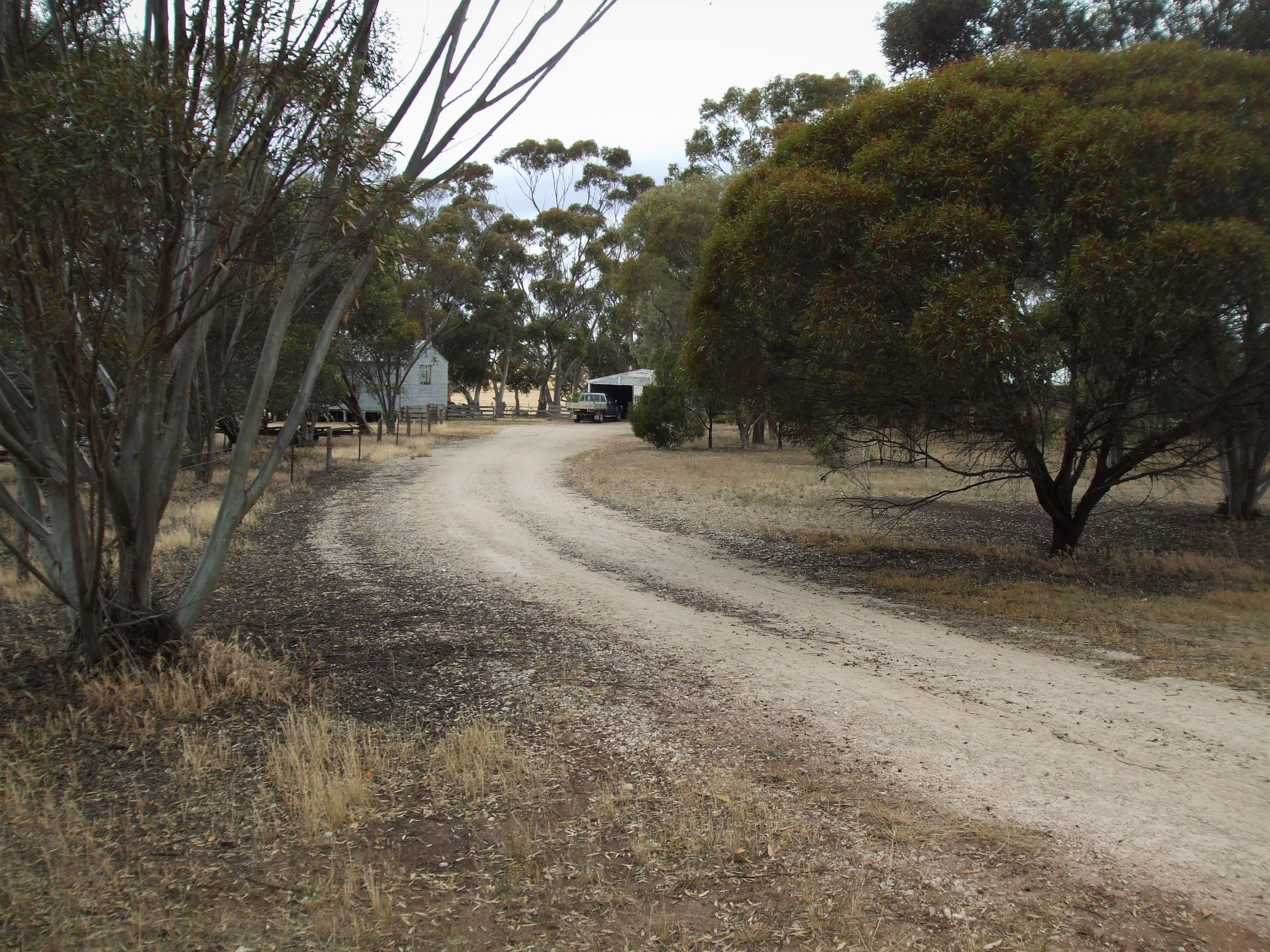 18241 Dukes Highway, Bordertown SA 5268, Bordertown - Thumbnail 7