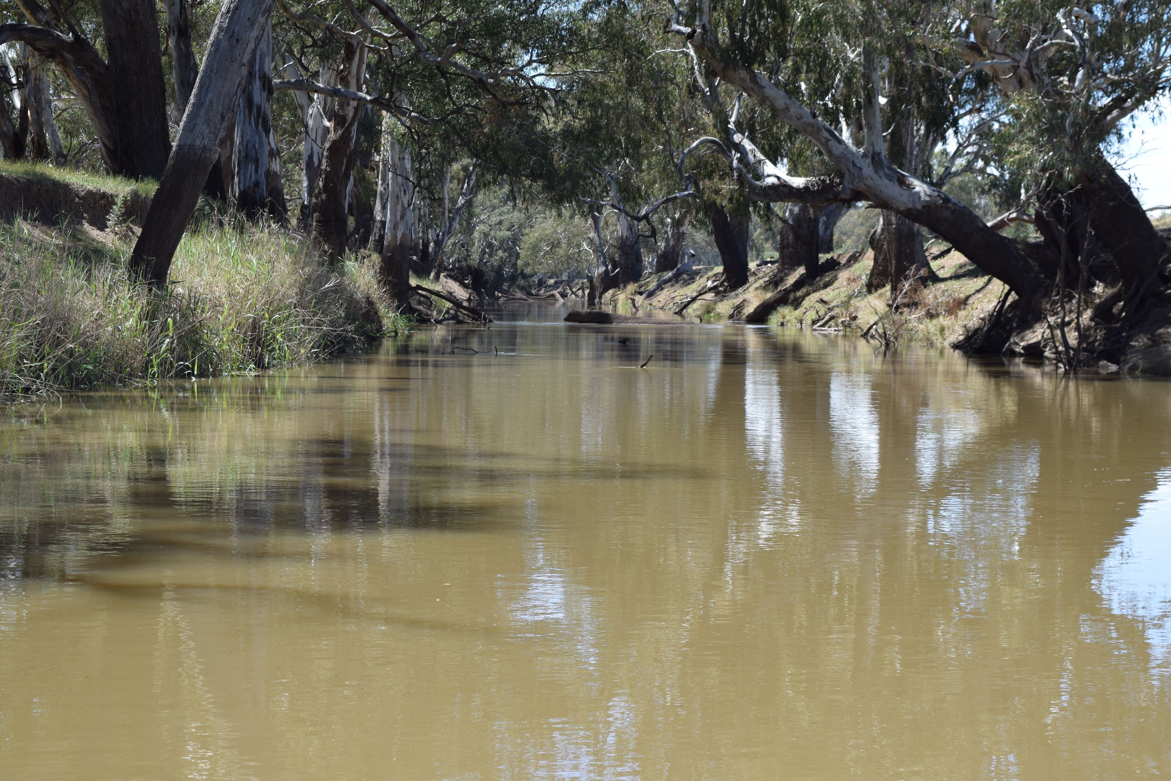 Packwood 5798 Lachlan Valley Way, Condobolin NSW 2877, Condobolin - Image 1