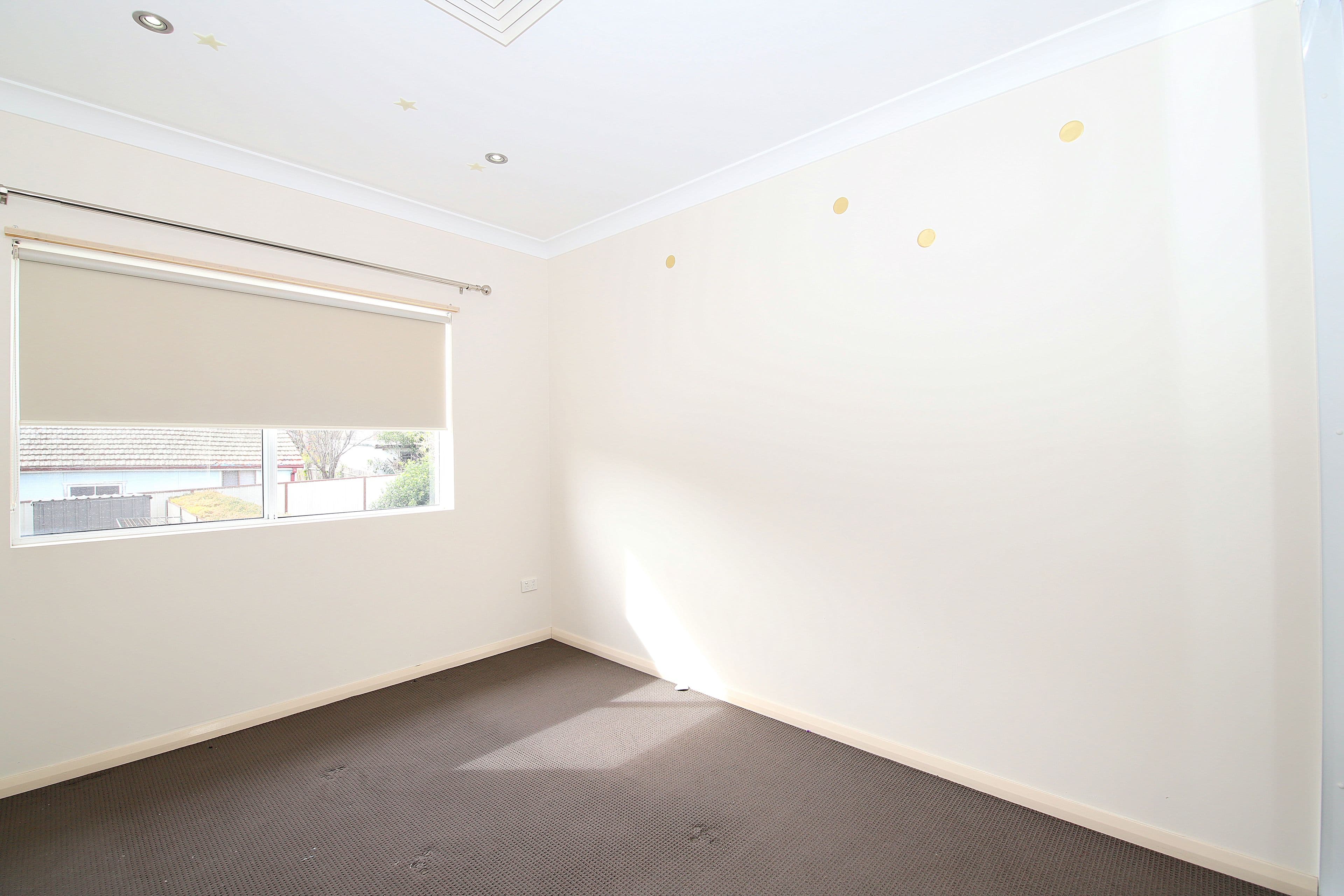 3A Griffiths Avenue, Punchbowl NSW 2196, Punchbowl - Thumbnail 4