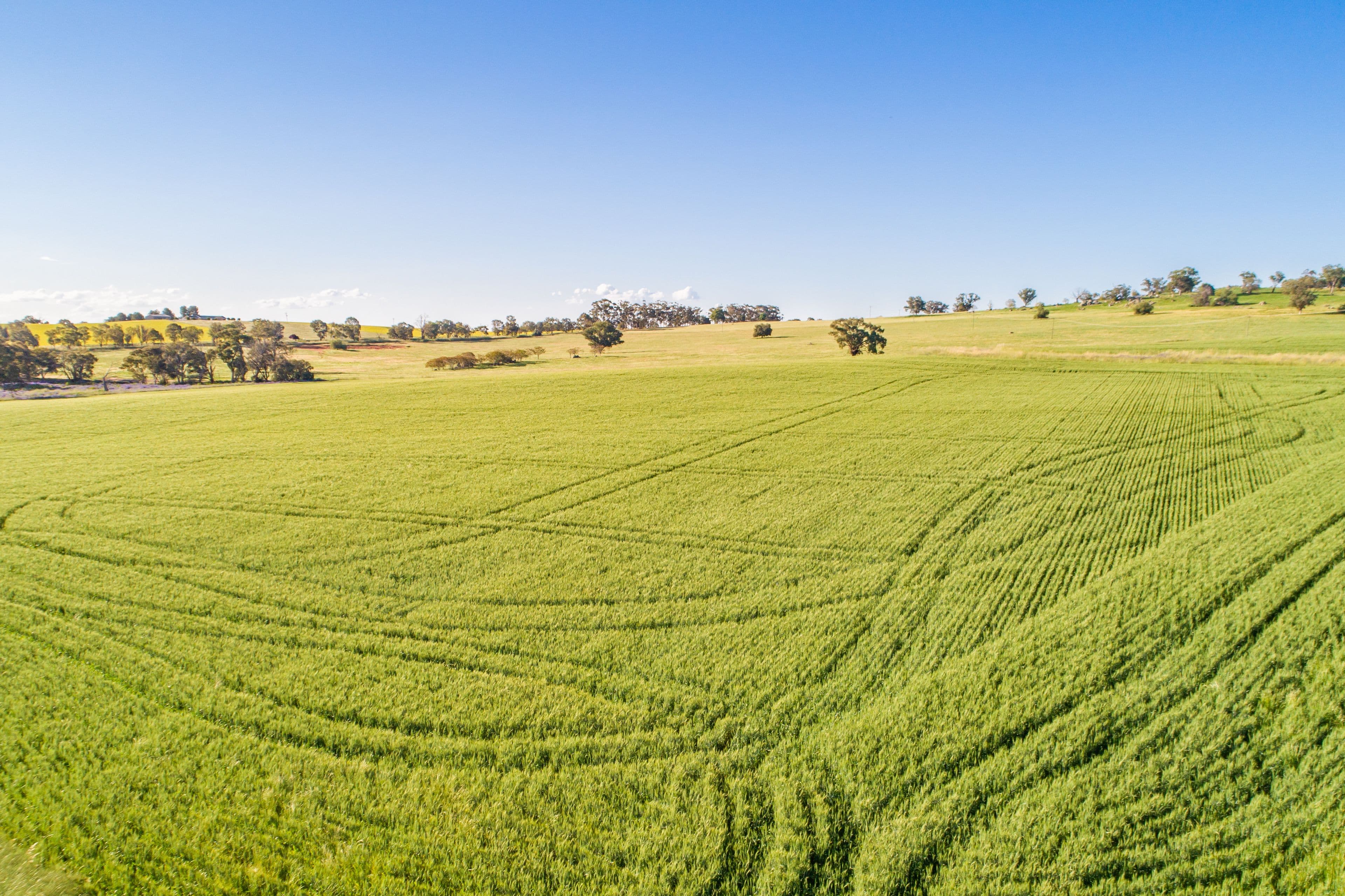 Cowra NSW 2794, Cowra - Thumbnail 8