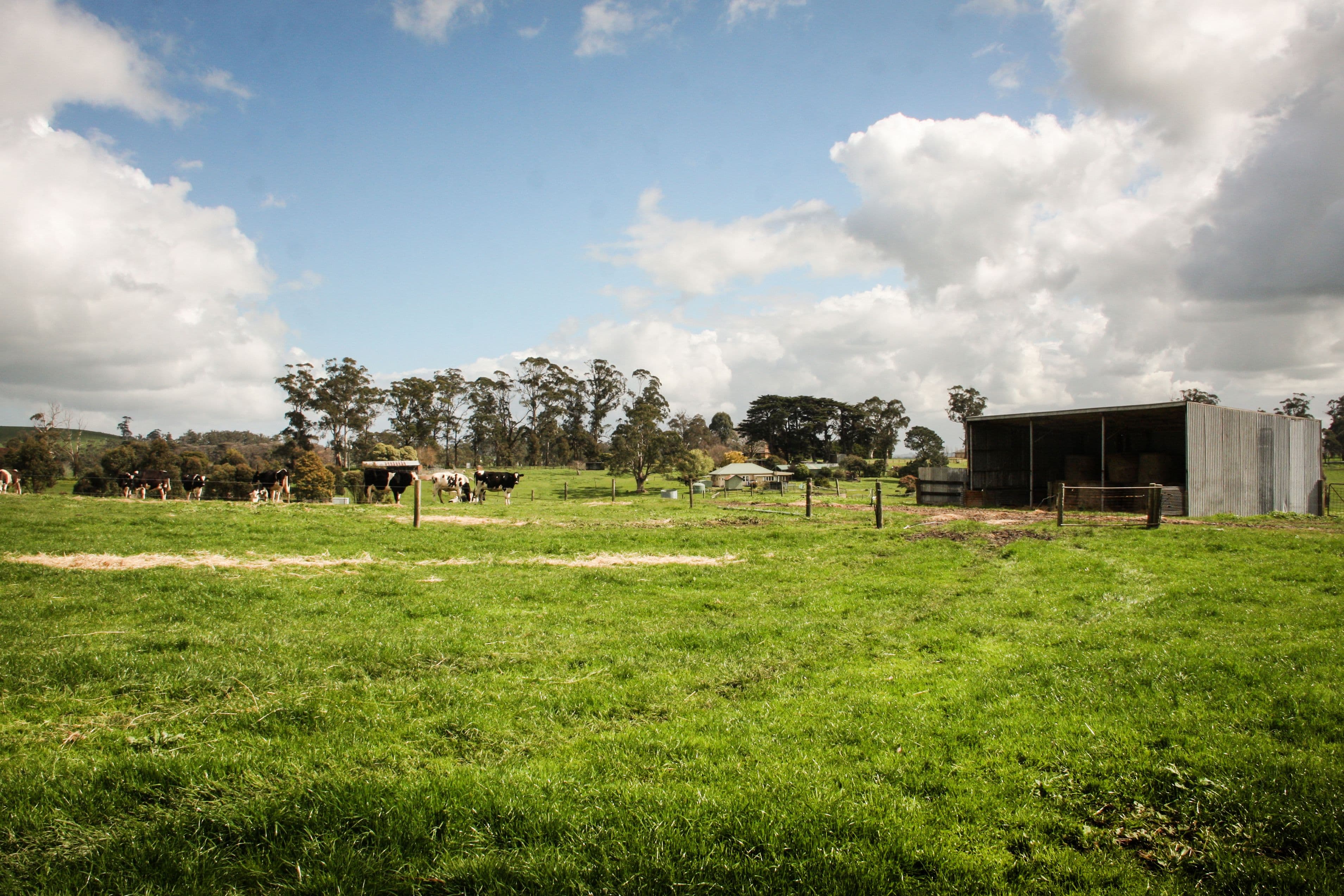 1815 Lardners Track, TORWOOD VIC 3821, Torwood - Thumbnail 6