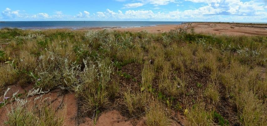 75 Kingsmill Street, Port Hedland WA 6721, Port Hedland - Image 1
