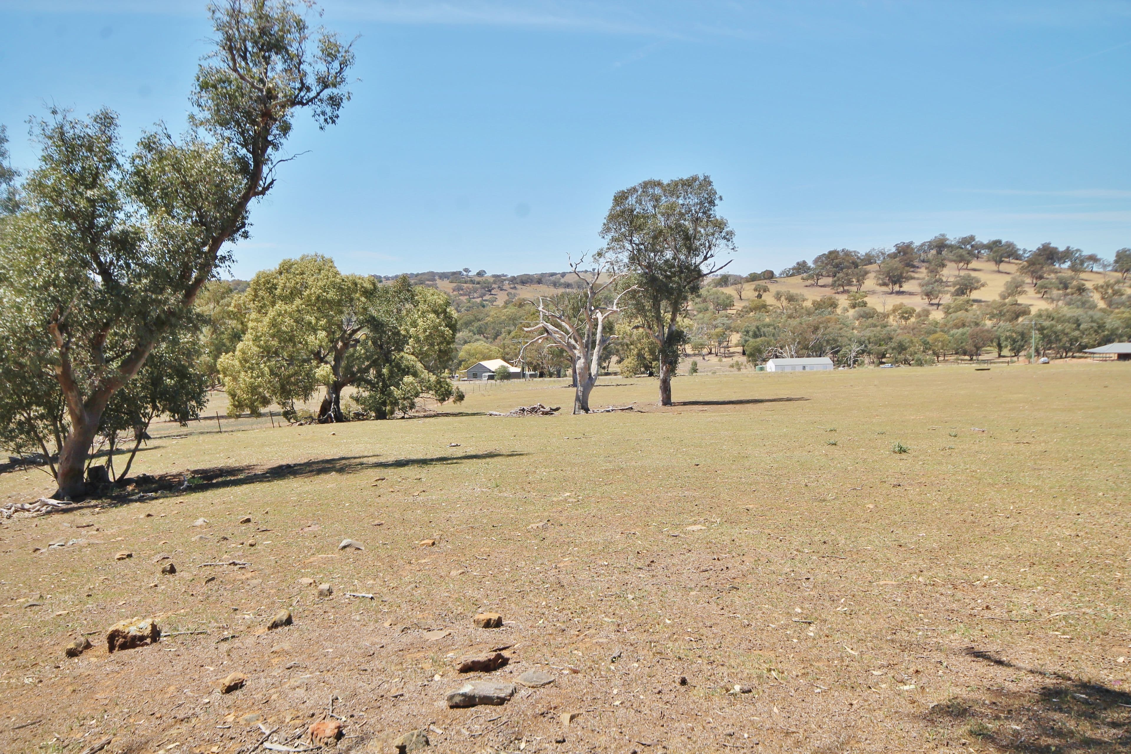79 Dowling Drive Murringo via, Young NSW 2594, Young - Thumbnail 5