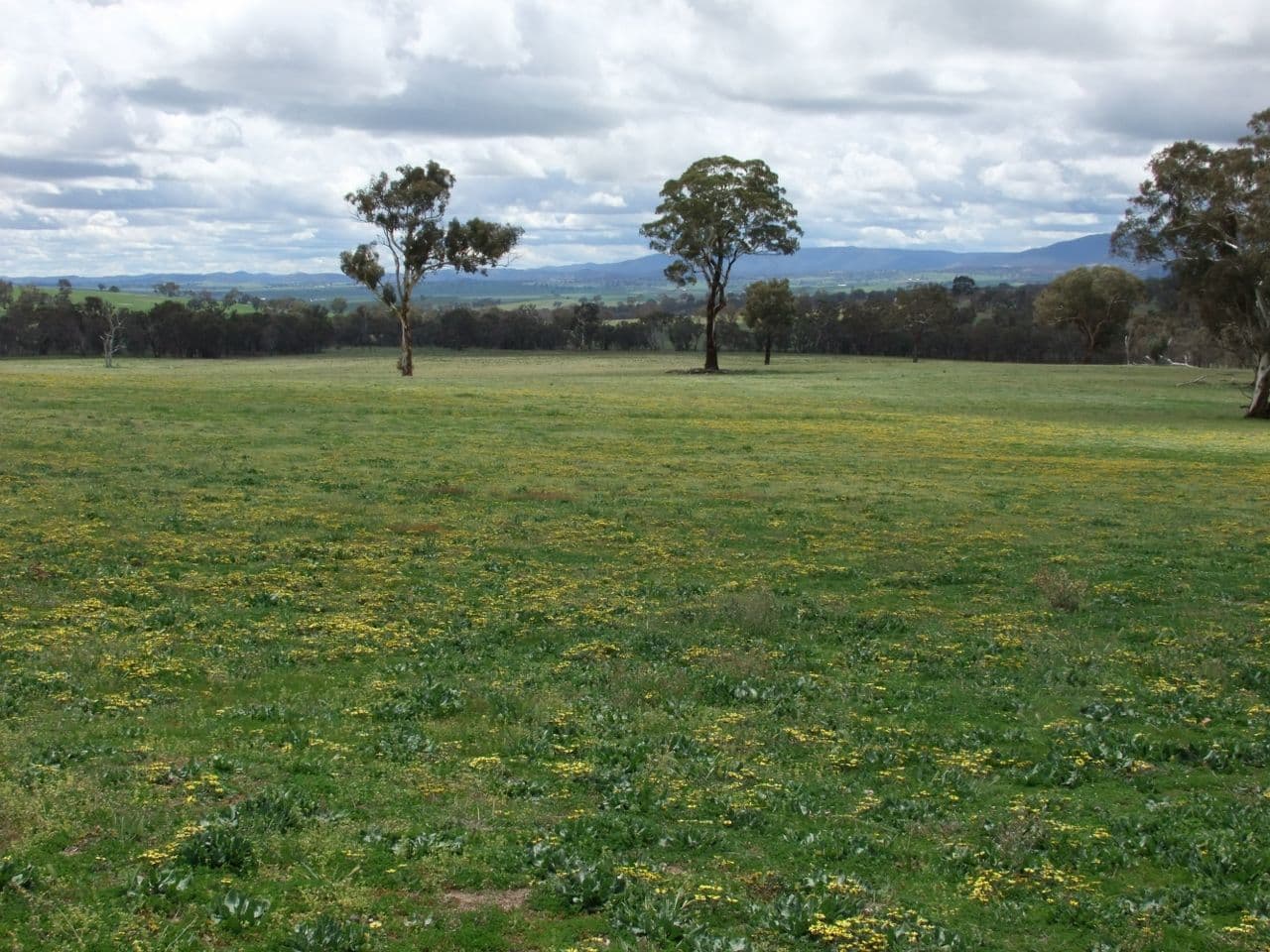 714 O'connell Plains Road, The Lagoon NSW 2795, The Lagoon - Thumbnail 7