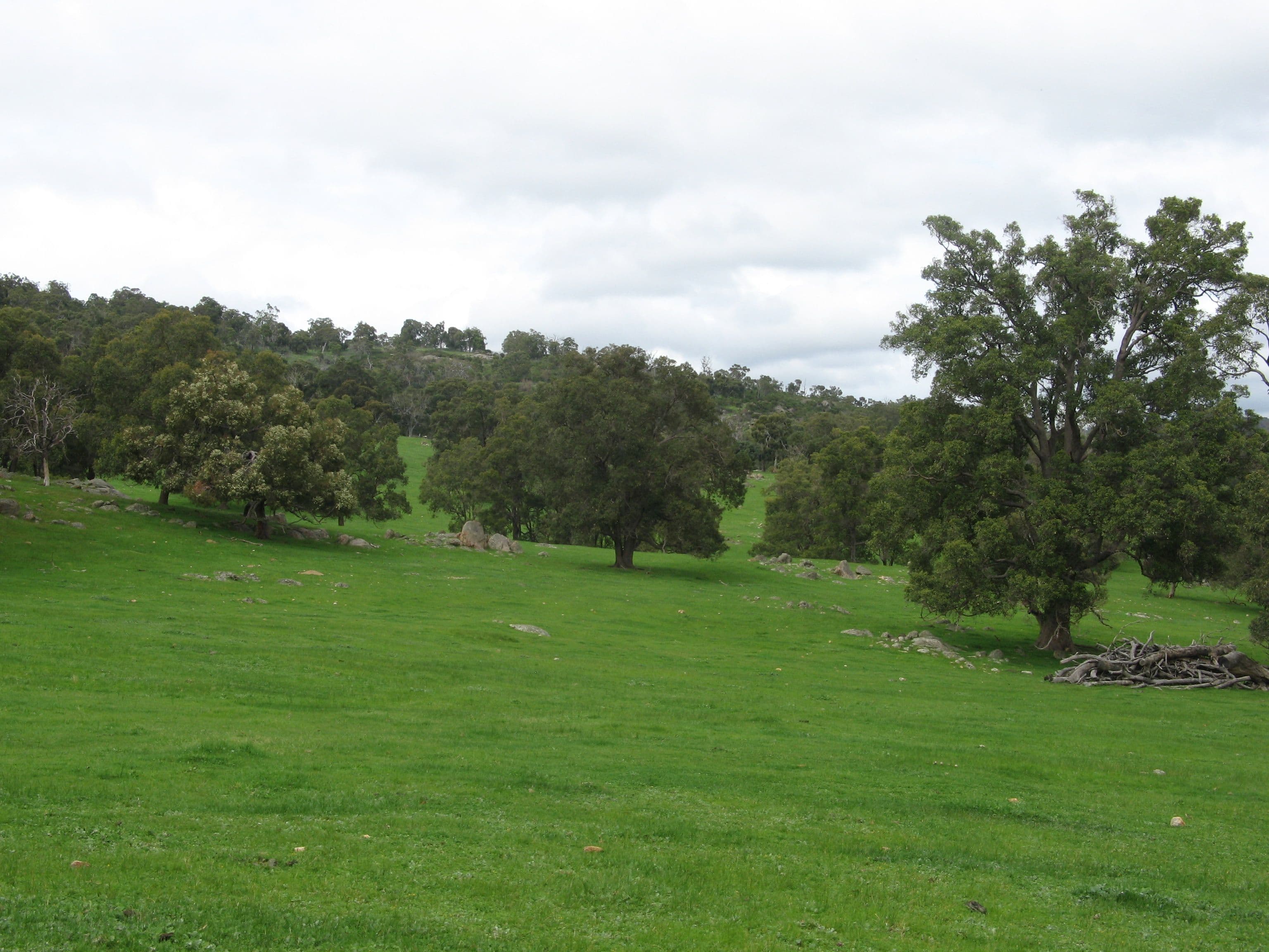 199 Morell Road, North Dandalup WA 6207, North Dandalup - Thumbnail 3
