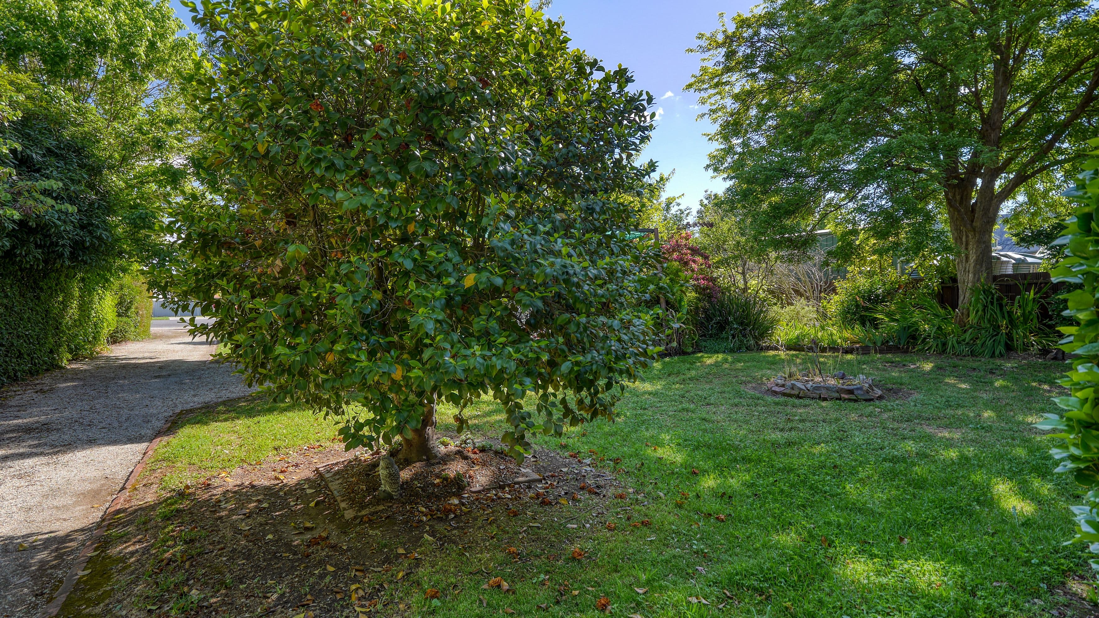 25 Goulburn Street, Nagambie VIC 3608, Nagambie - Thumbnail 4