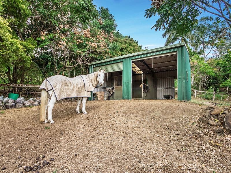 528-554 Piggabeen Road, Currumbin Valley QLD 4223, Currumbin Valley - Thumbnail 3