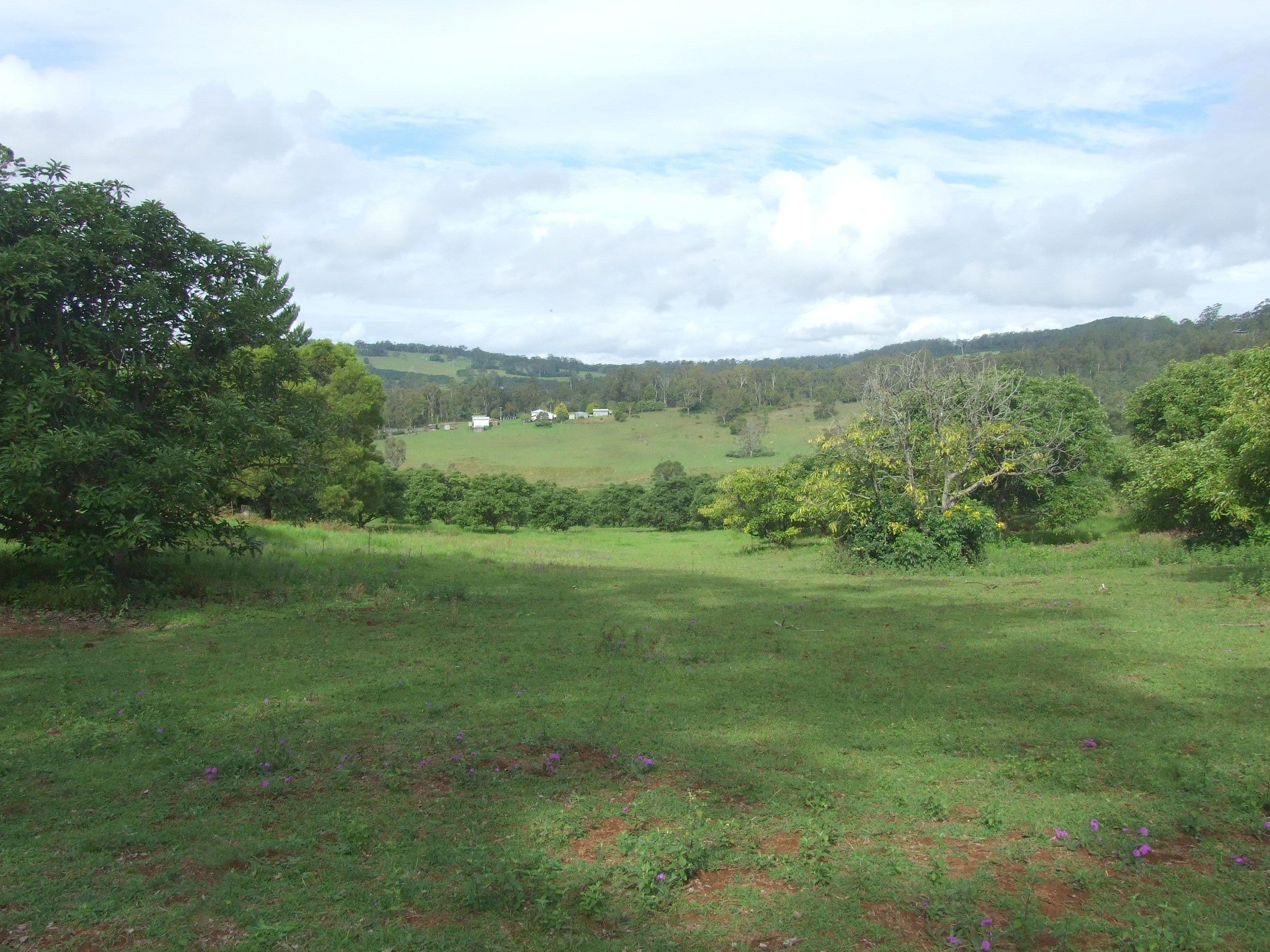 L47 Christy Road, Ravensbourne QLD 4352, Ravensbourne - Thumbnail 3