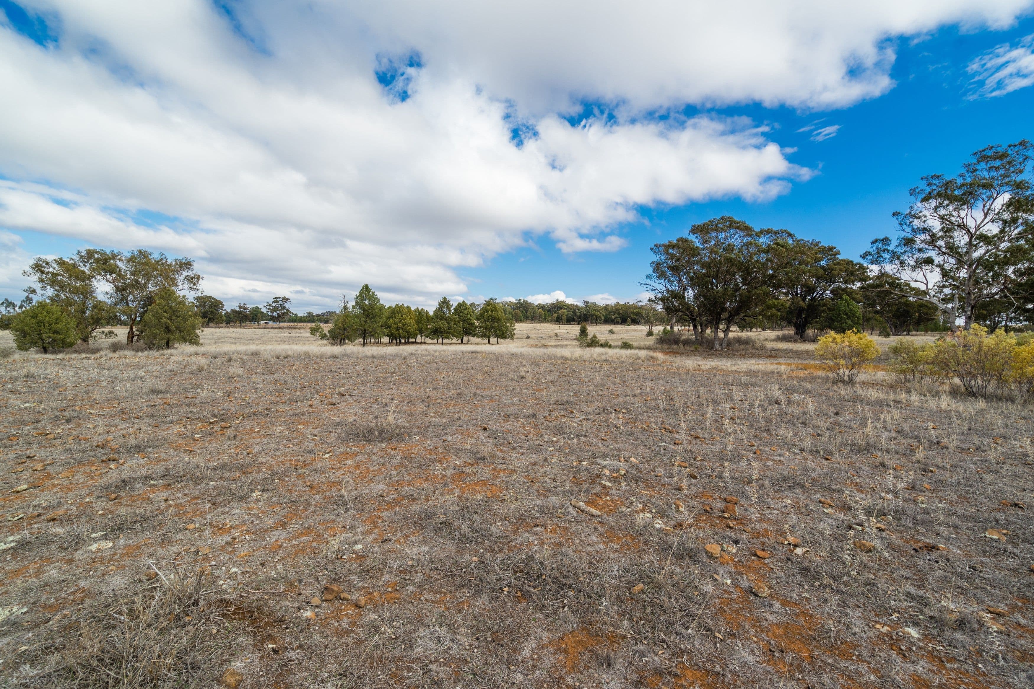 72L Burraway Road, Dubbo NSW 2830, Dubbo - Thumbnail 5