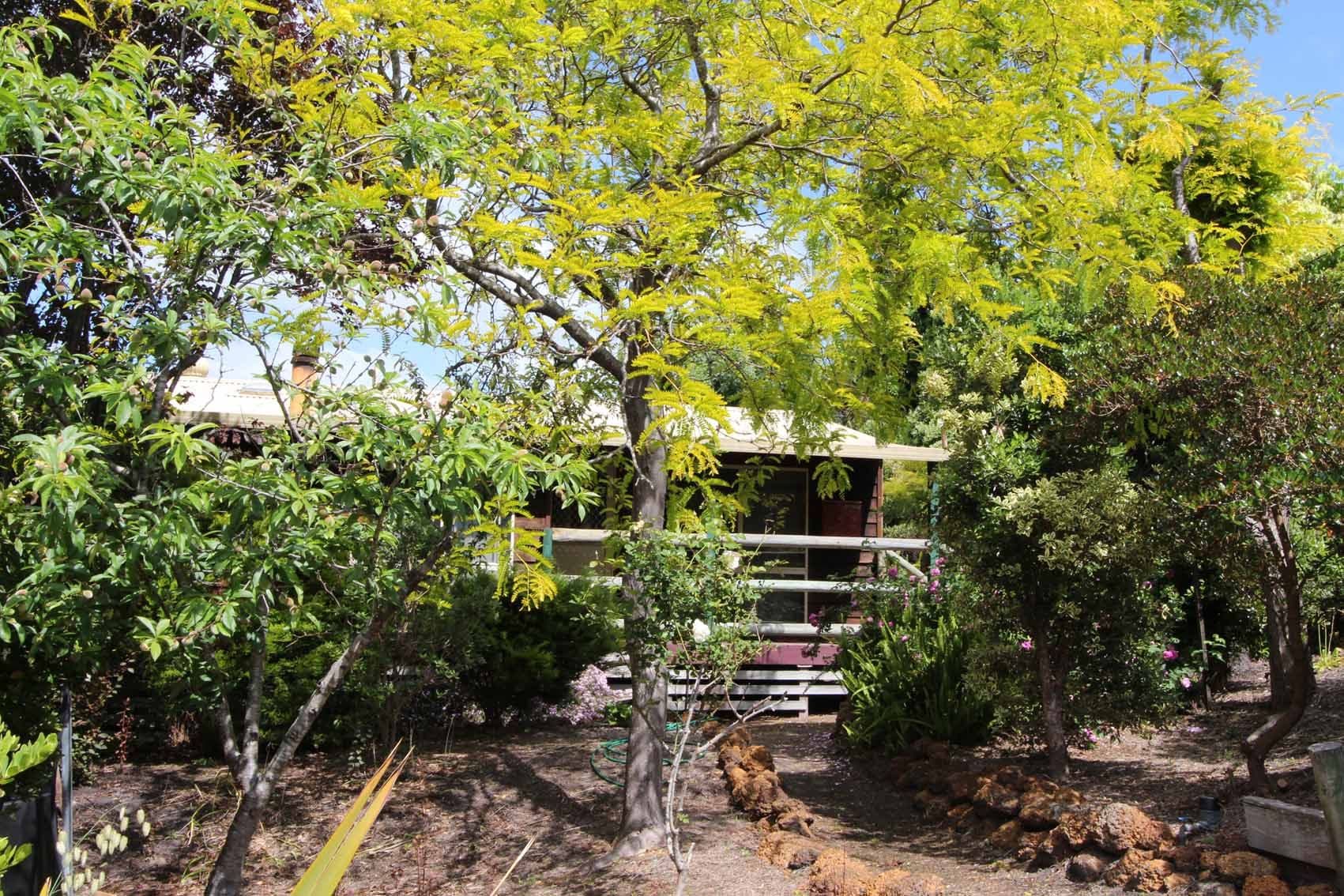 35 Anning Road, Denmark WA 6333, Denmark - Image 1