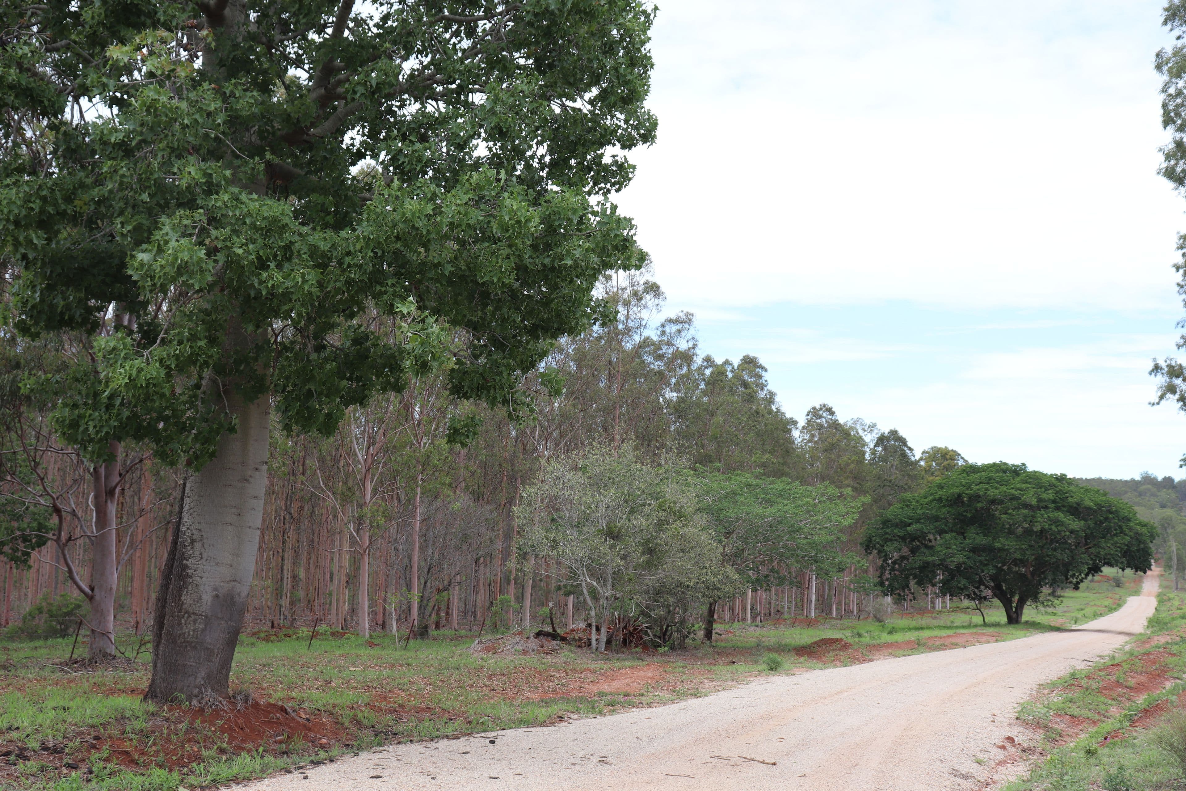 'Hooper' Burnett Highway, Binjour QLD 4625, Binjour - Thumbnail 2