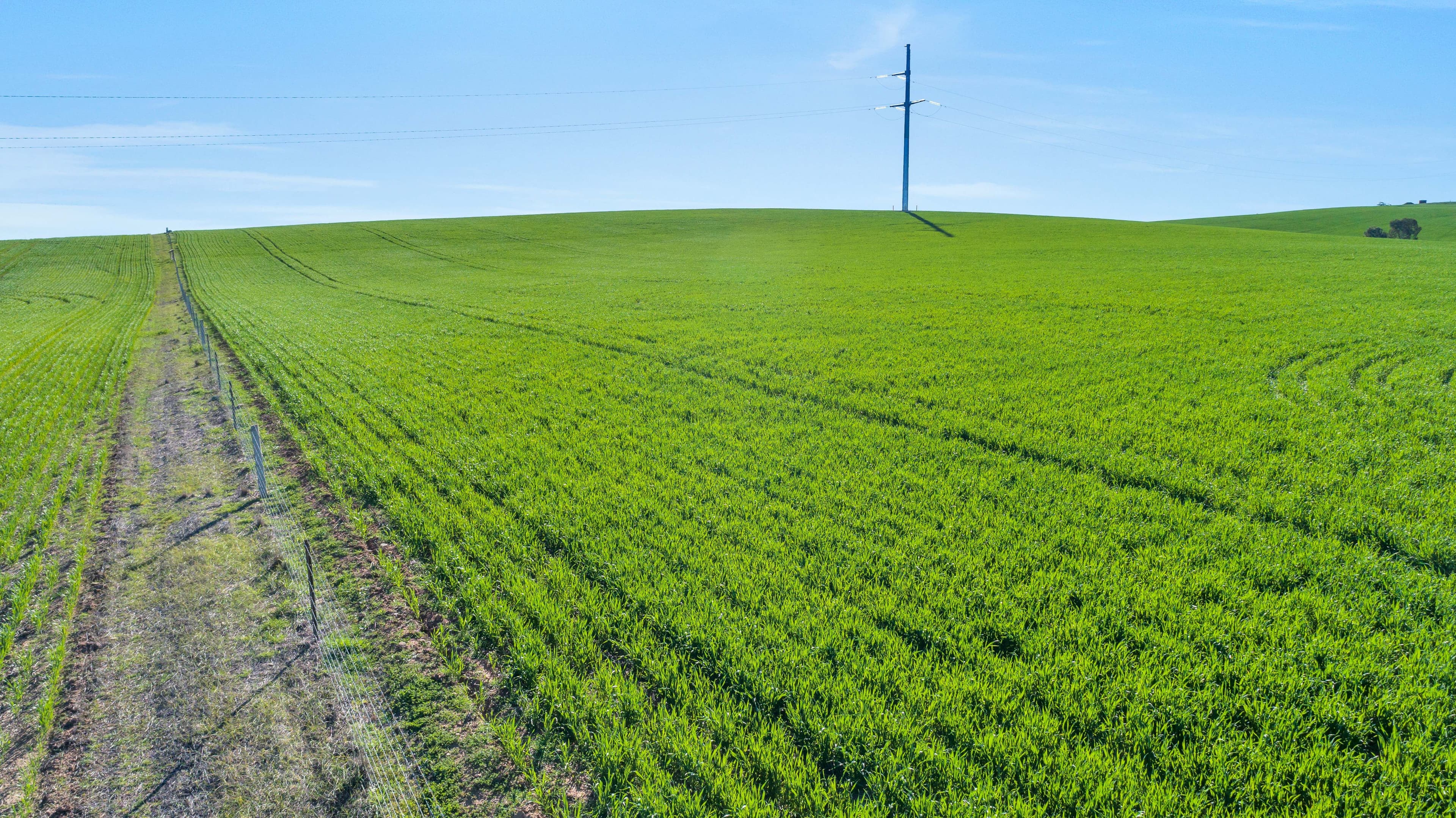 'Stone Hut' - Lot 320 Halls Road, Wirrabara SA 5481, Wirrabara - Thumbnail 4