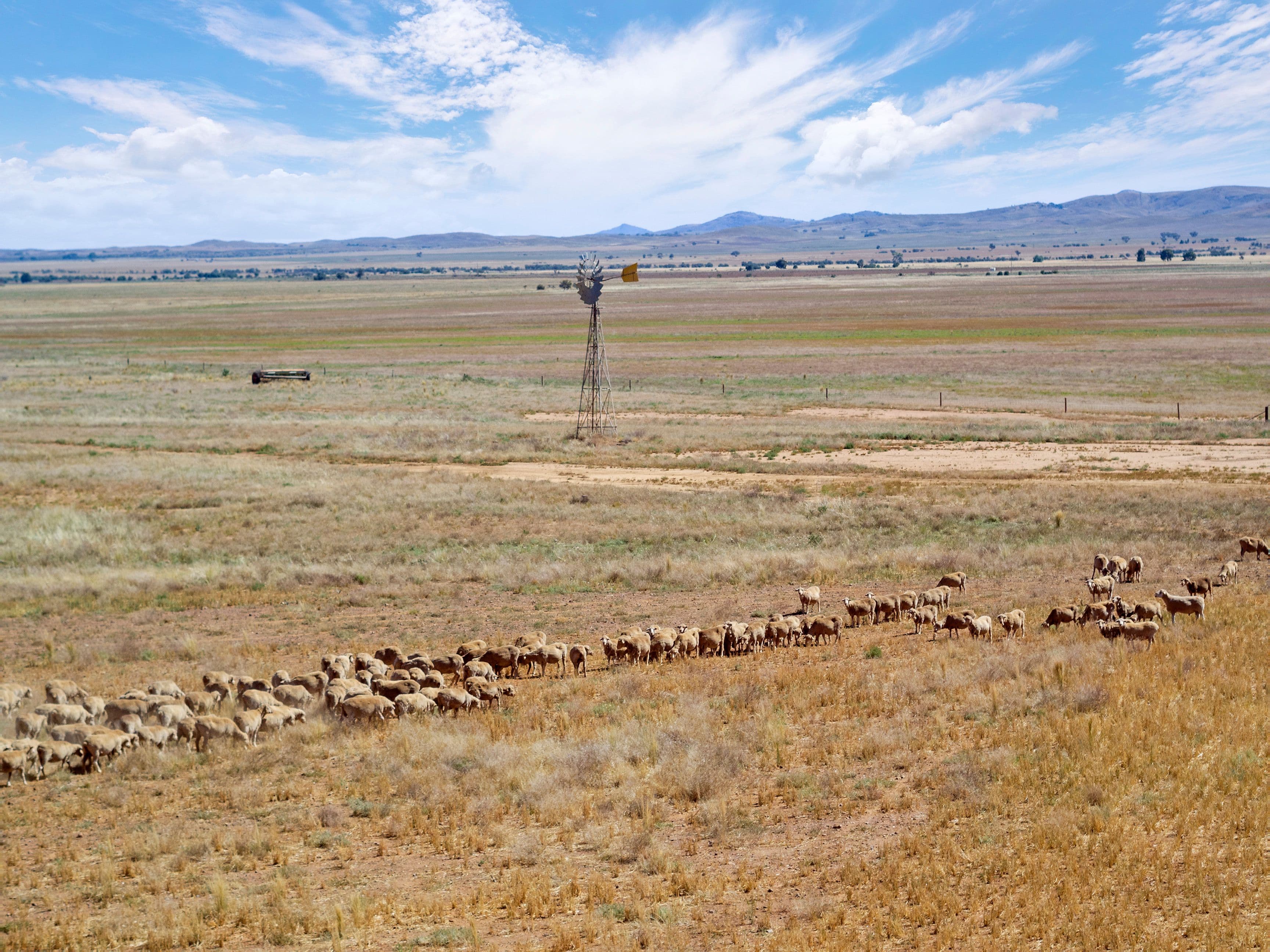 Lot 2 Rankine and Johnburg Road, Orroroo SA 5431, Orroroo - Thumbnail 3