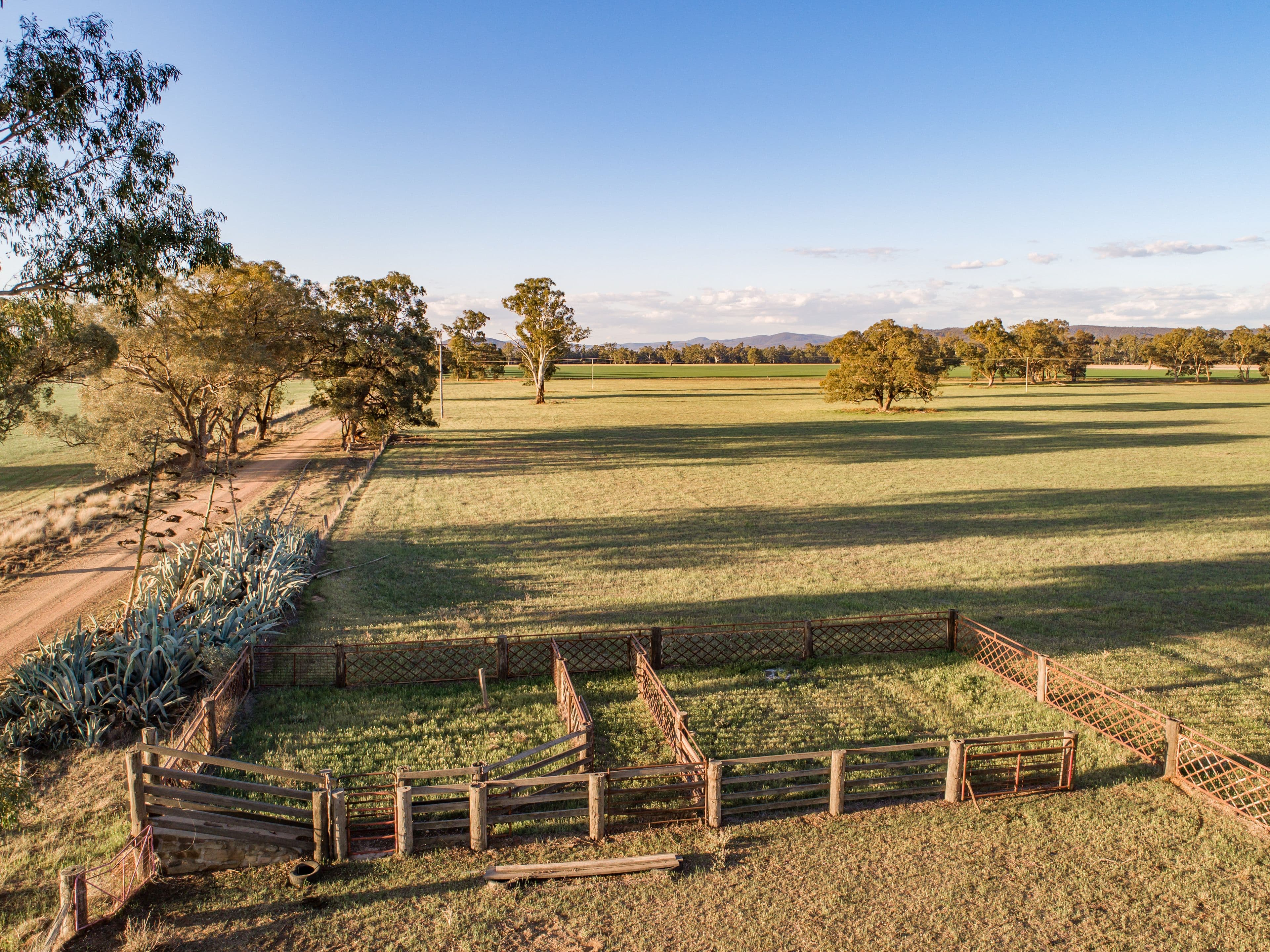4259 Lachlan Valley Way, Gooloogong NSW 2805, Gooloogong - Thumbnail 7