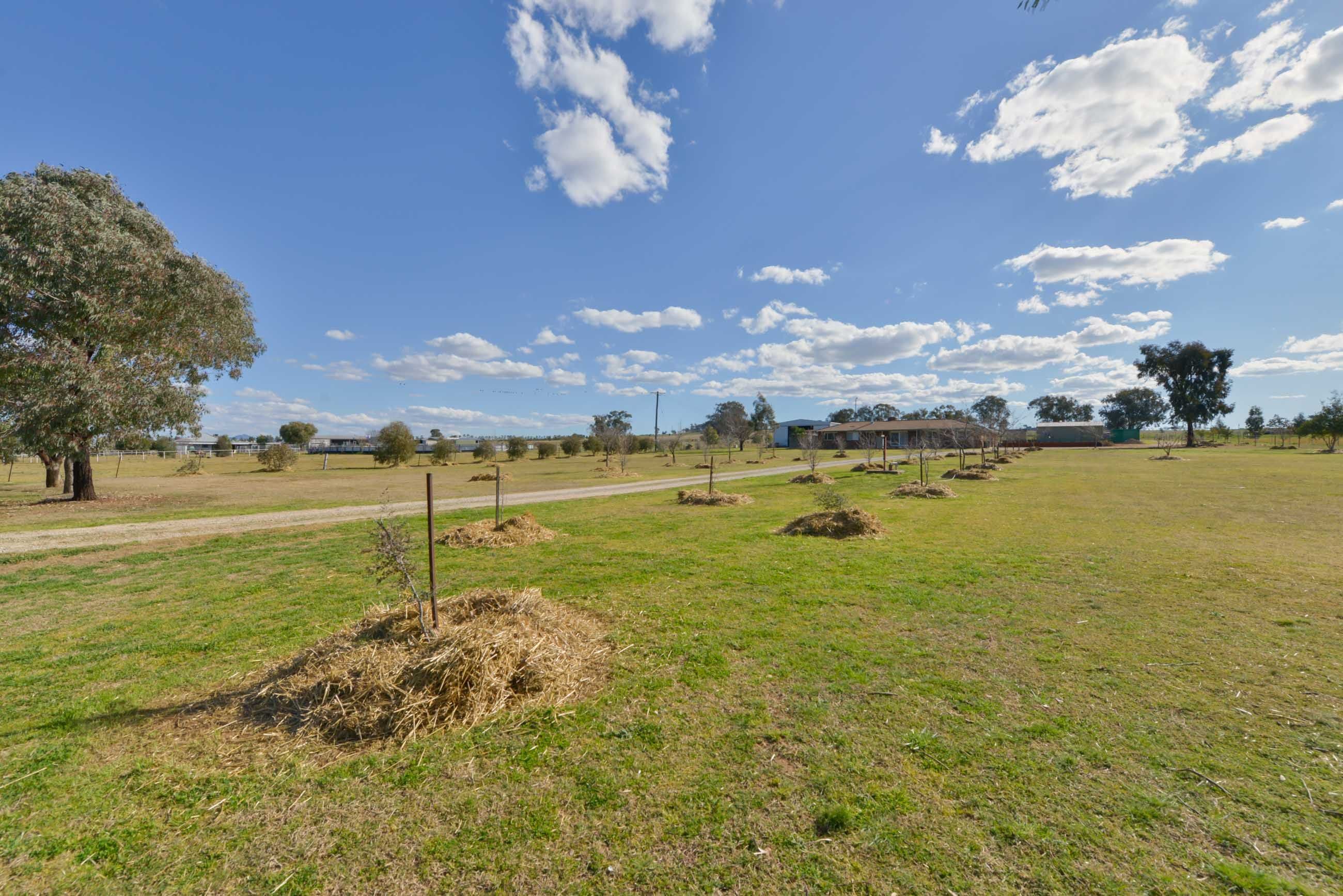 1009 Wallamore Road, Tamworth NSW 2340, Tamworth - Thumbnail 3