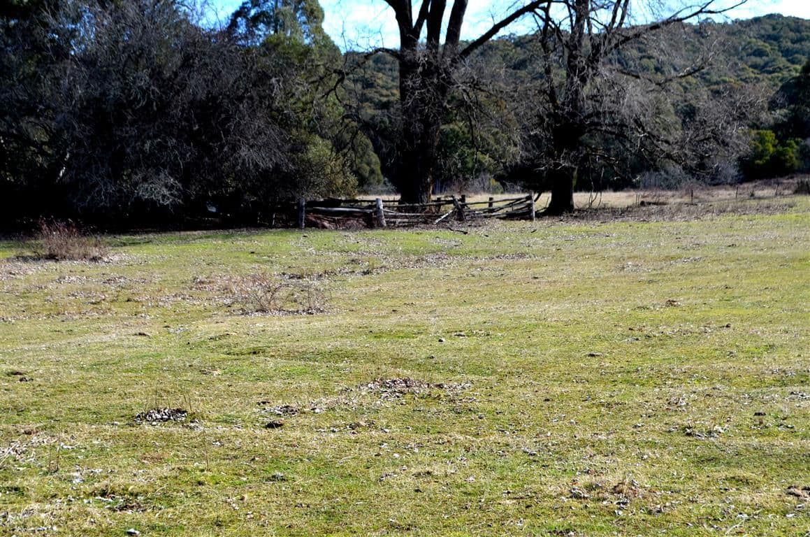 1345 Argalong Road, Tumut NSW 2720, Tumut - Thumbnail 8
