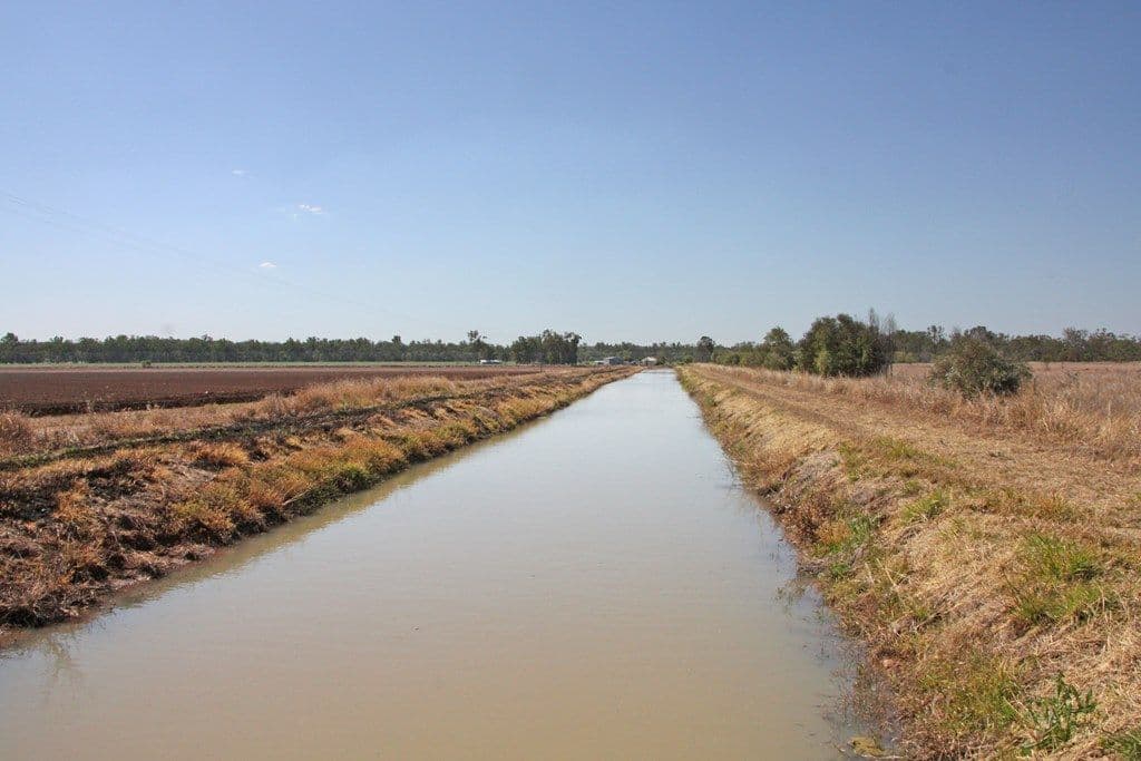 135 Austins Road, Theodore QLD 4719, Theodore - Thumbnail 6