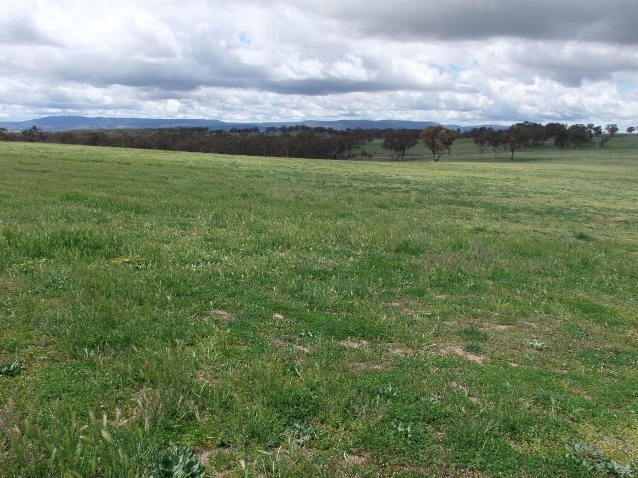 714 O'connell Plains Road, The Lagoon NSW 2795, The Lagoon - Thumbnail 3
