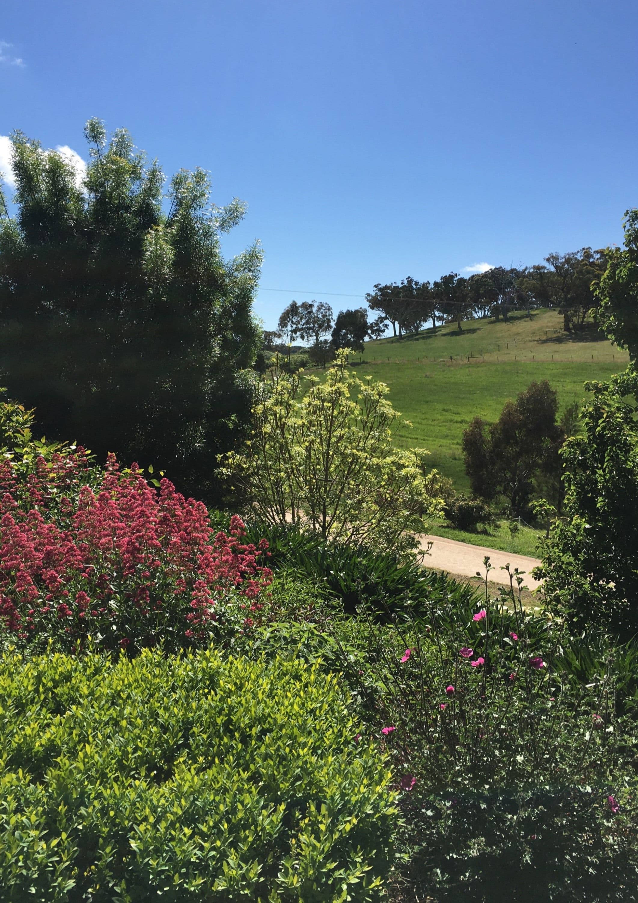81 Totness Road, Hahndorf SA 5245, Hahndorf - Thumbnail 6