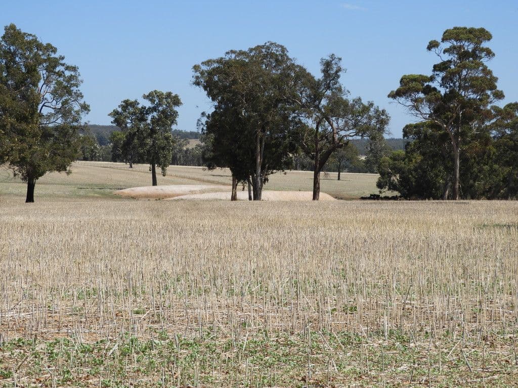 Boase Road Farm, Bakers Hill WA 6562, Bakers Hill - Thumbnail 6
