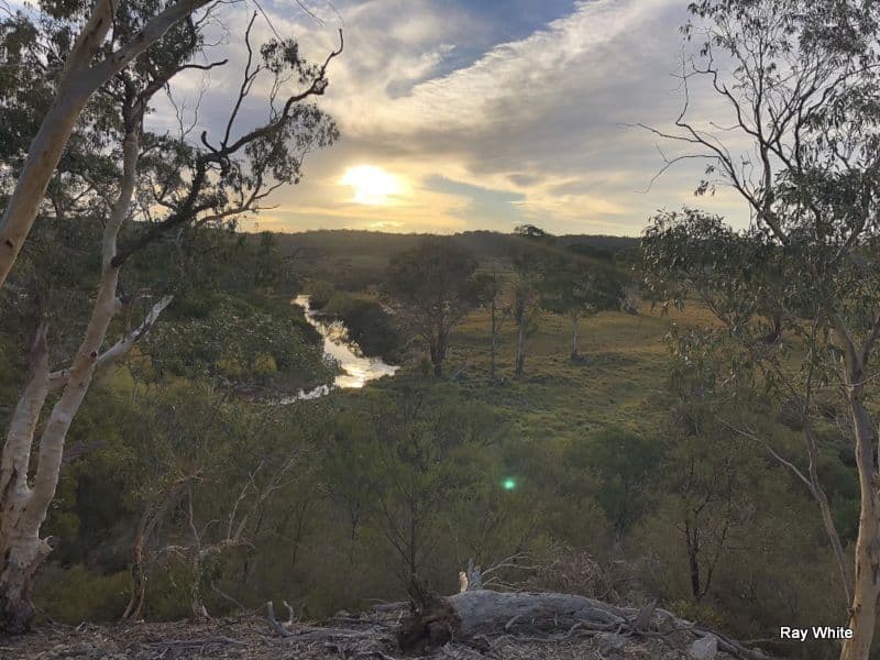 50 Stewarts Crossing Road, Braidwood NSW 2622, Braidwood - Thumbnail 2
