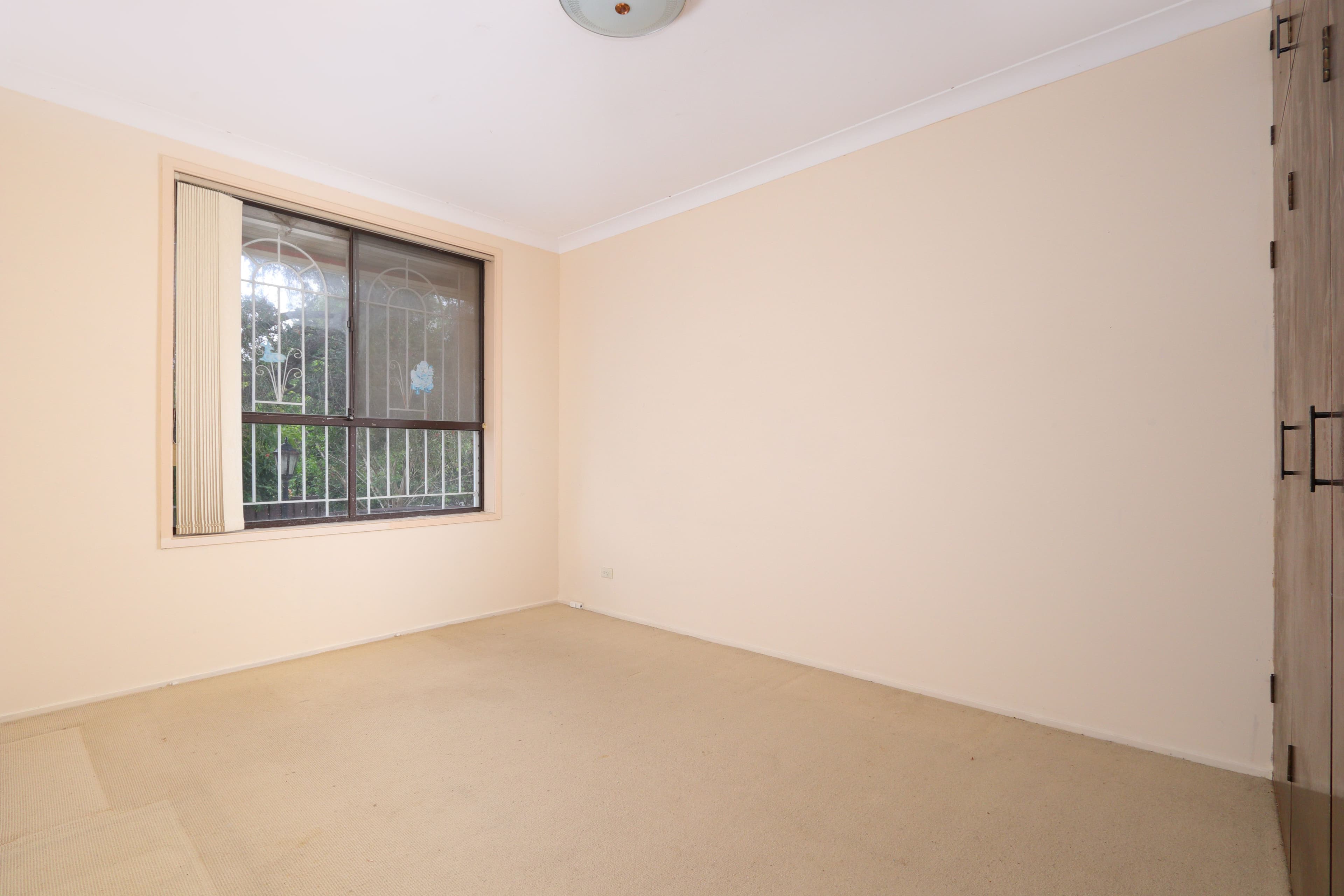 47 Regent Street, Bexley NSW 2207, Bexley - Thumbnail 5