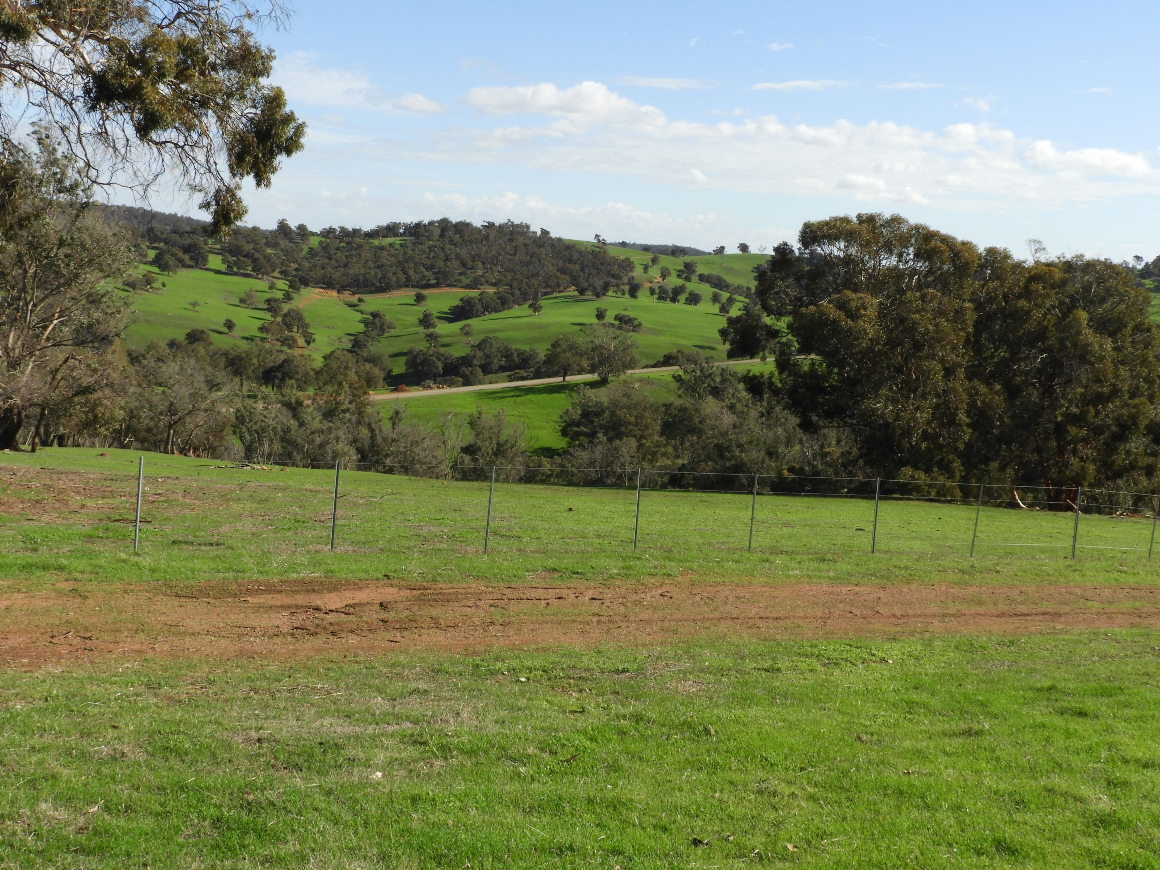 Lot 716 Lower Chittering Road, Chittering WA 6084, Chittering - Thumbnail 4